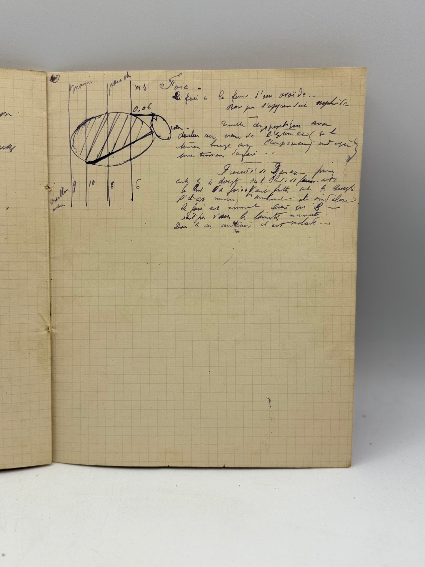 Vintage French Composition Notebook