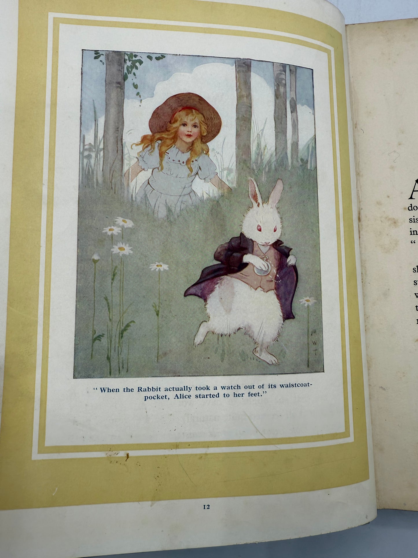Vintage Alice in Wonderland, Illustrated