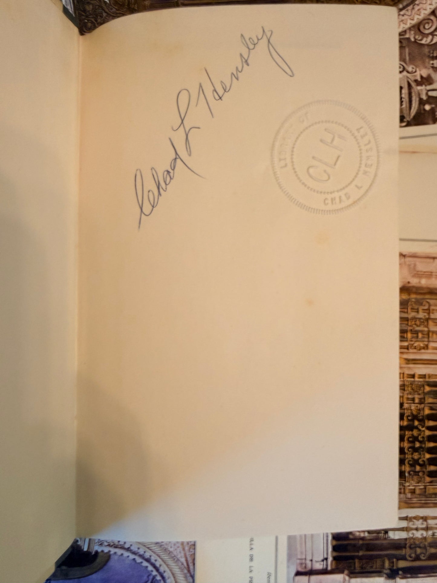 Vintage German Book, Der Schandfleck