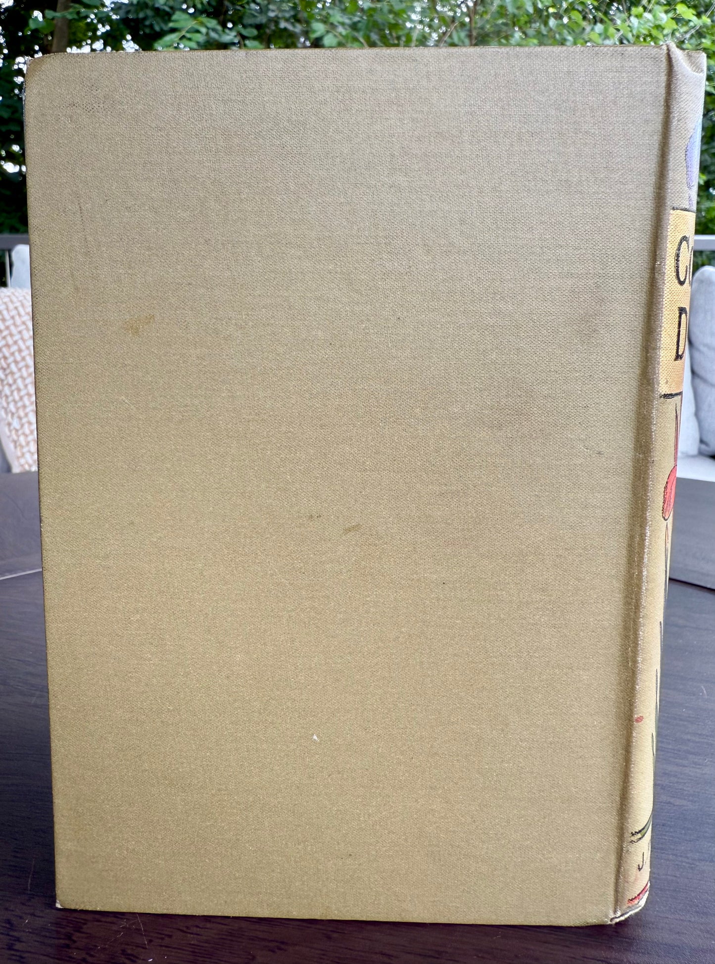 Cousin Dora by Emily Brodie, Antique Floral Book, London
