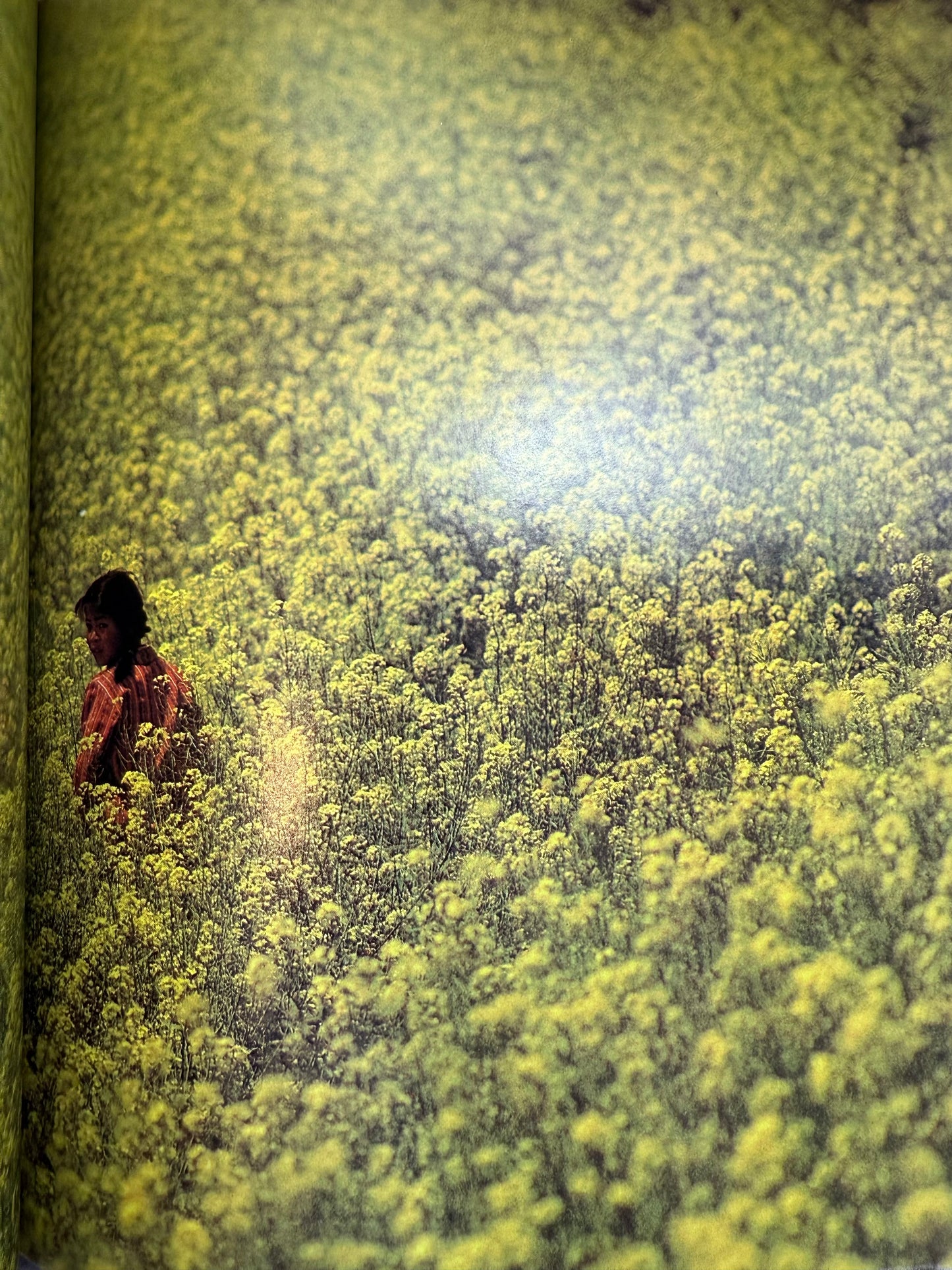Journey Into China, National Geographic, 1982