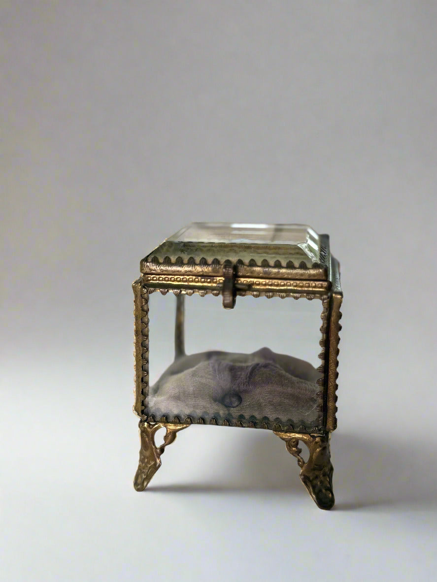 French 19th Century Jewelry Box with Tuft
