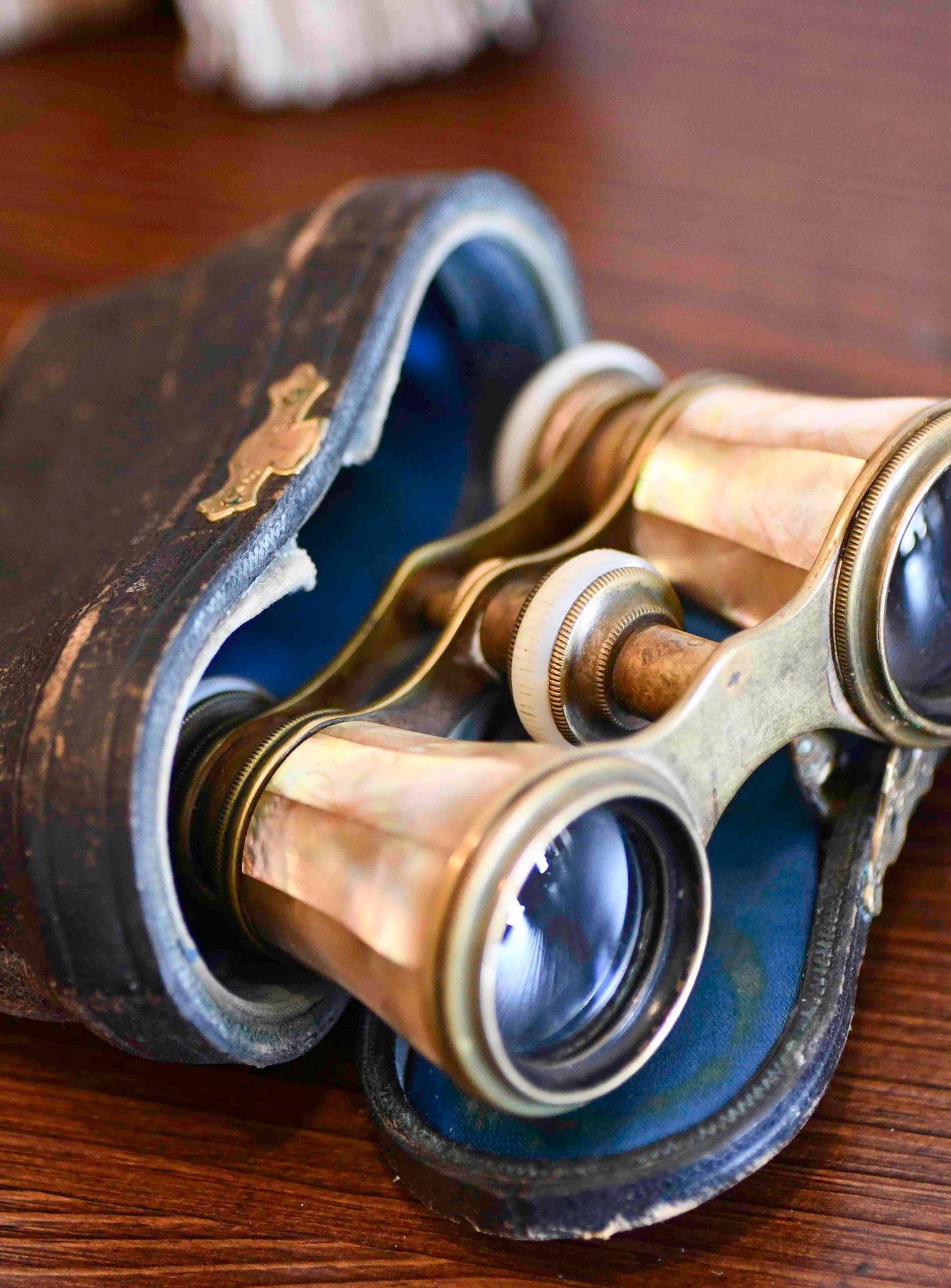 Antique French Opera Binoculars with Case, Sejour Brand