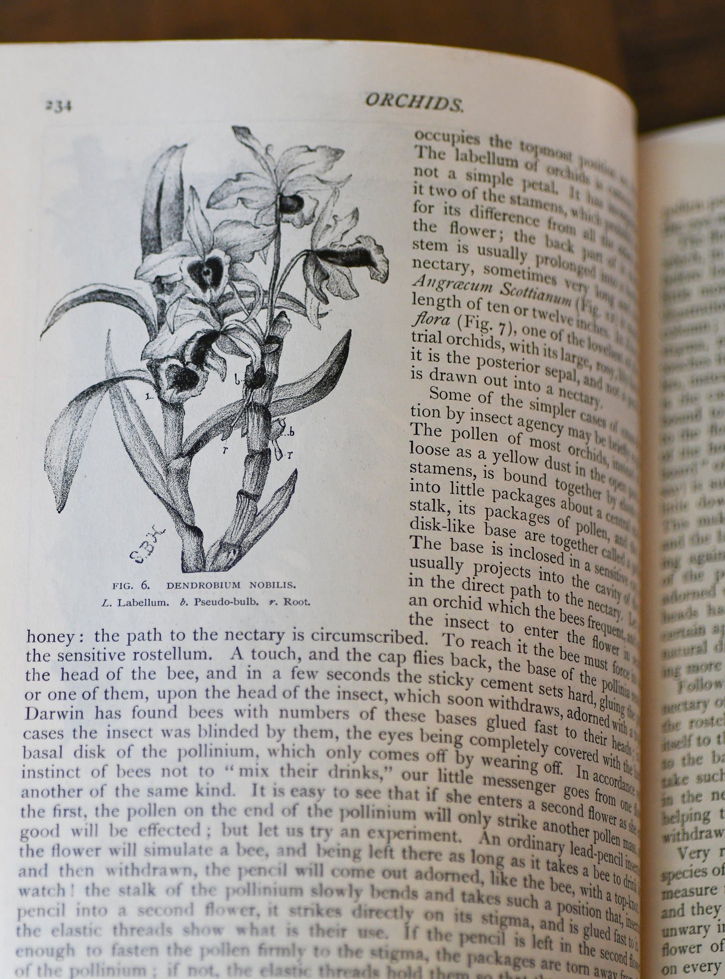 The Century Illustrated Monthly Magazine, 1885 & 1886