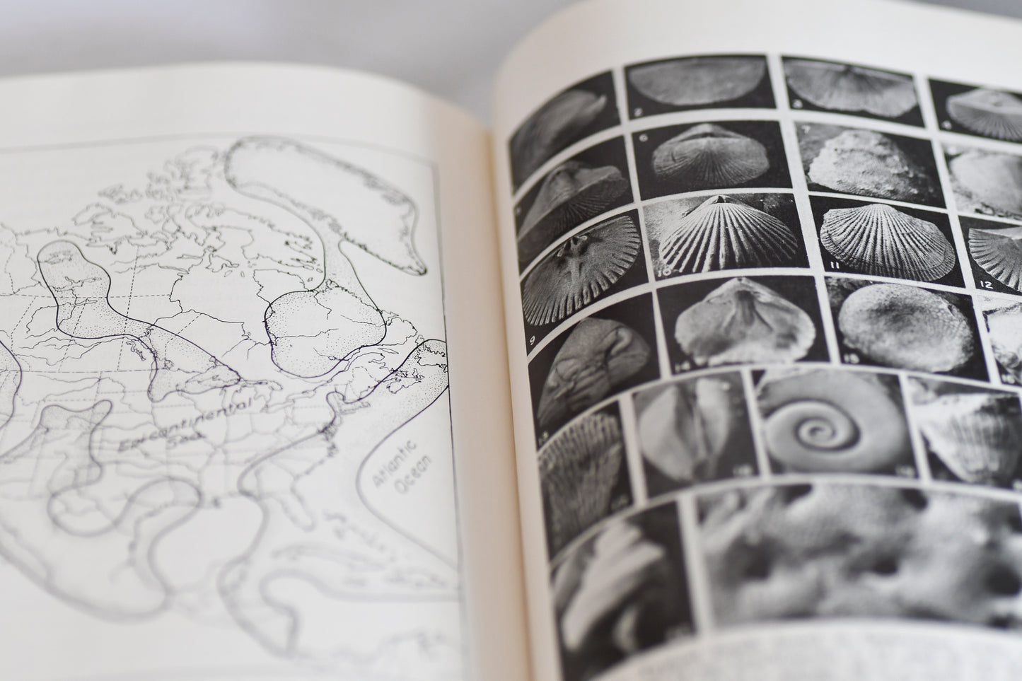 Minnesota's Rocks and Waters, George Schwartz, 1954