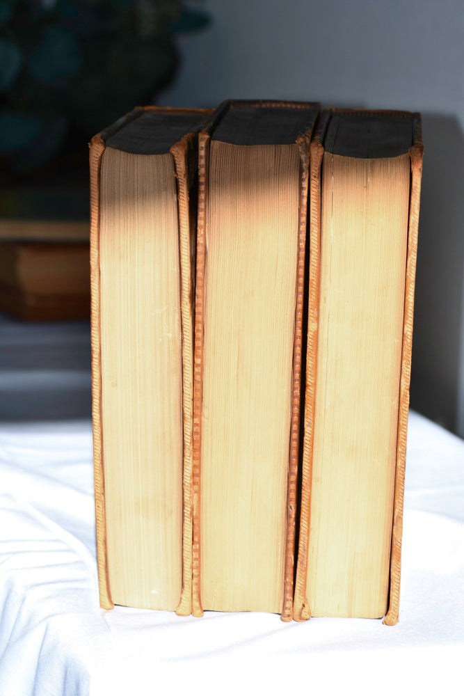 New York Reports Leather Book Set, 9"