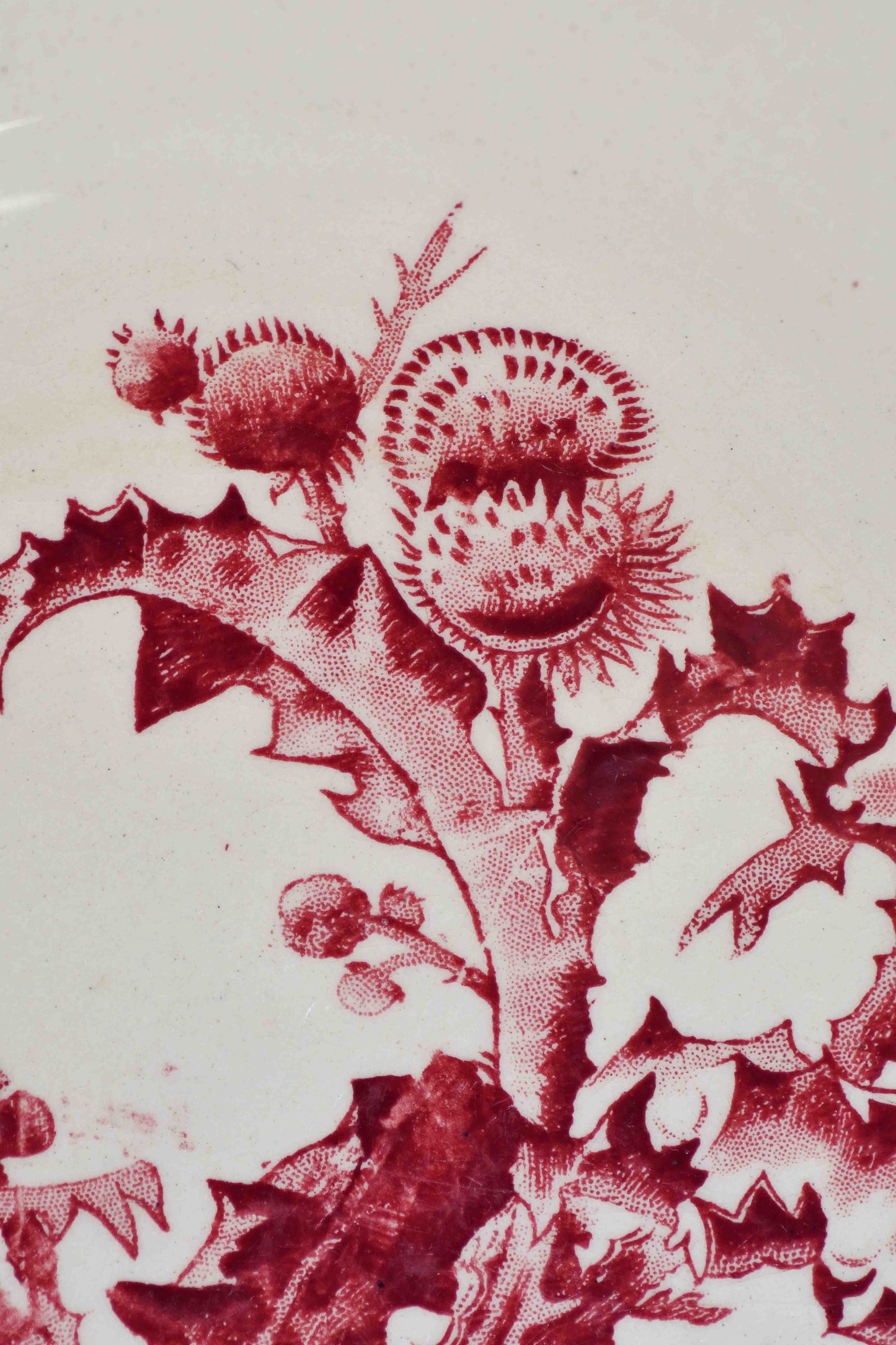 Chardons French Red Transferware Plate, 8”