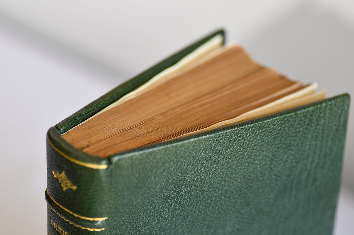 Antique Pride and Prejudice by Jane Austen