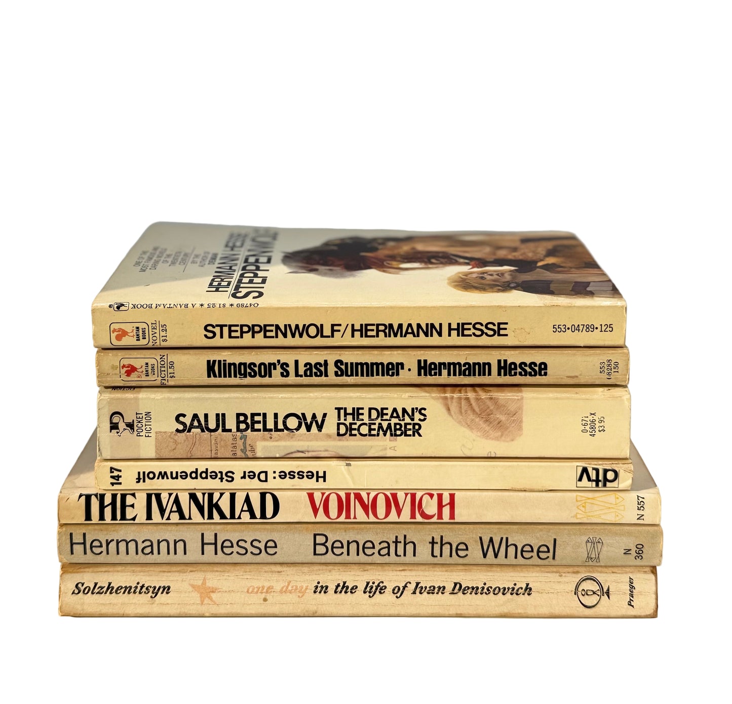 Vintage Paperback Bookshelf Display Lot, Hermann Hesse, Solzhenitsyn