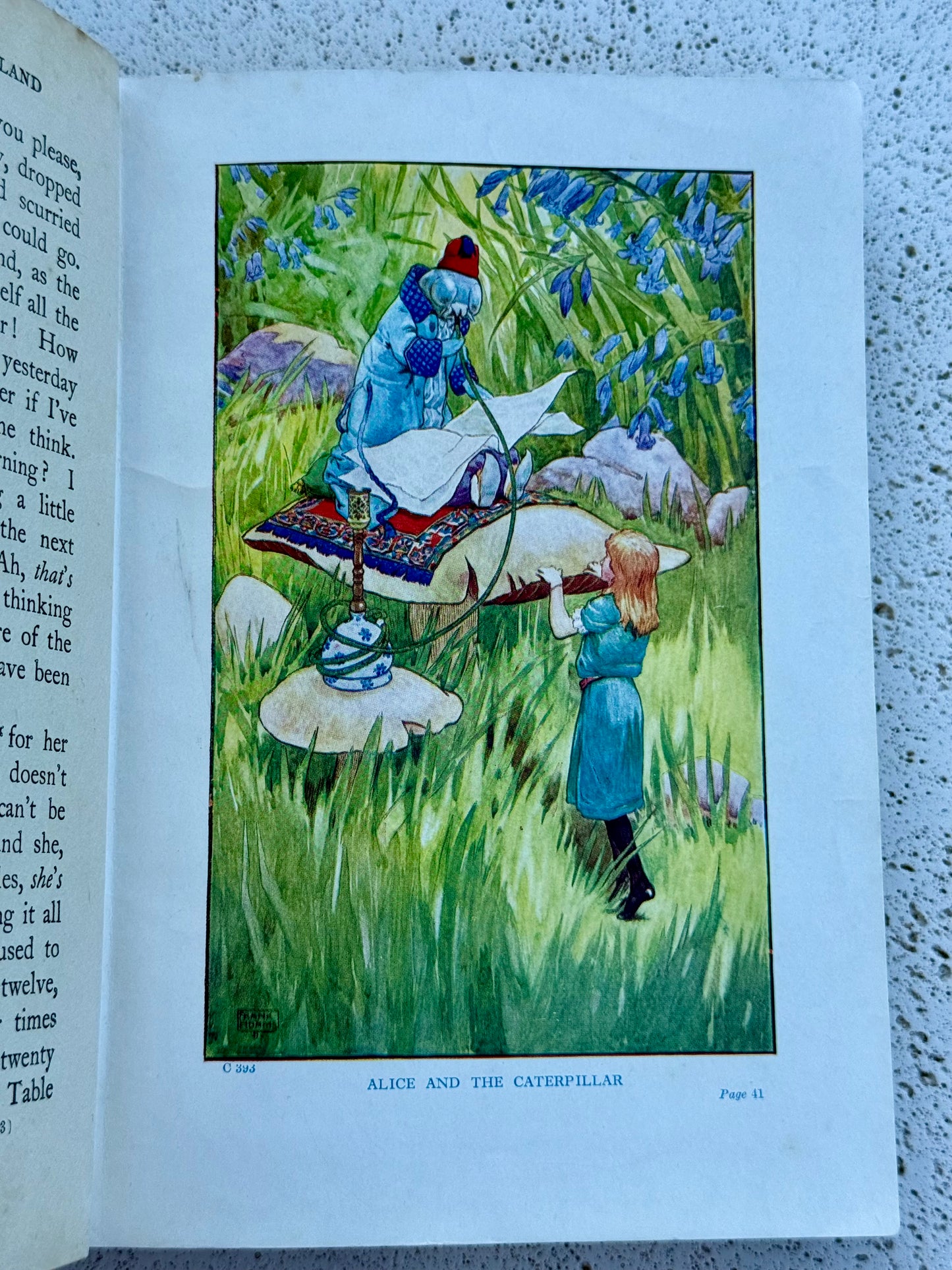Illustration from a book showing Alice and the Caterpillar in a garden setting.