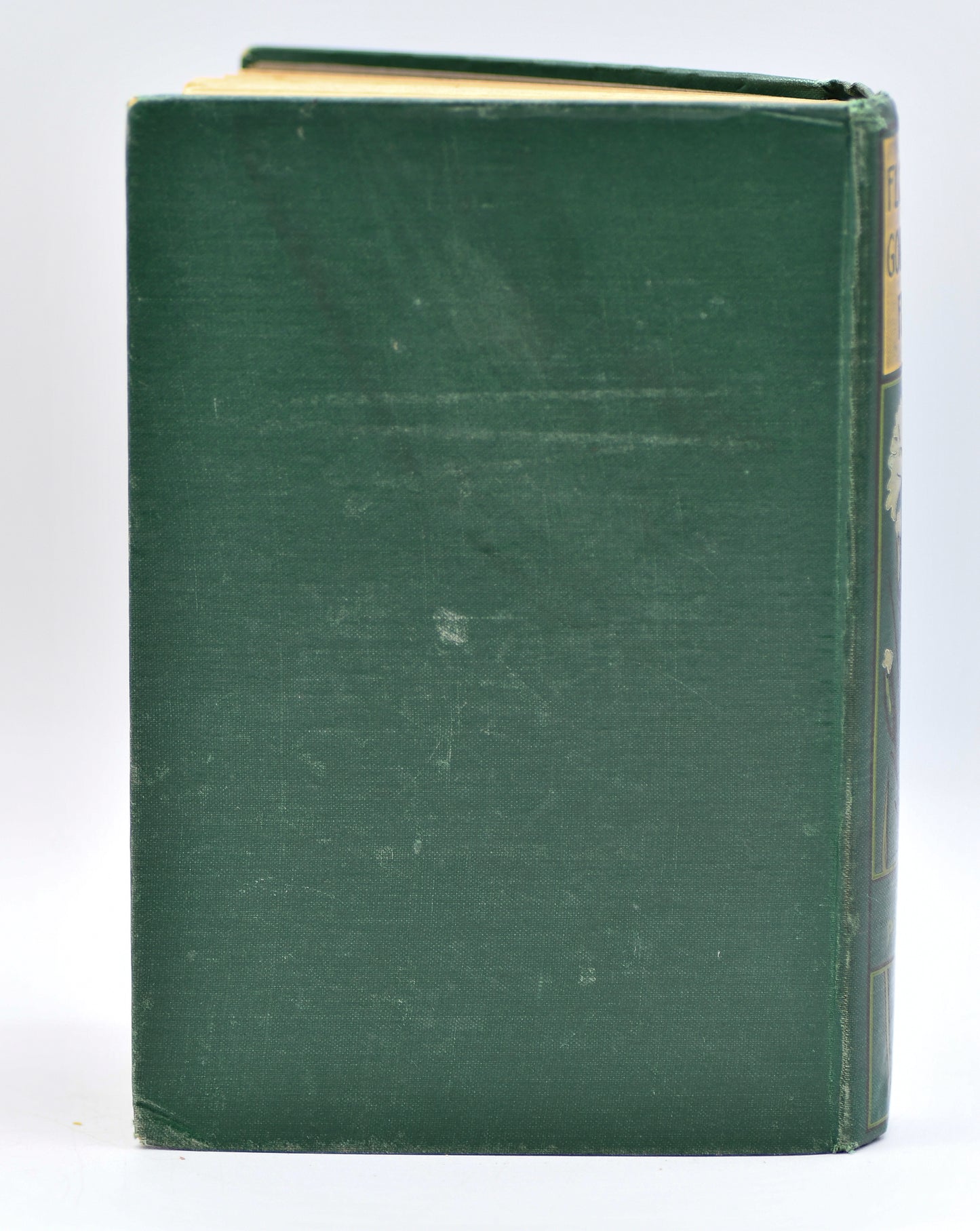 Florence Godfrey's Faith, Decorative Floral Book