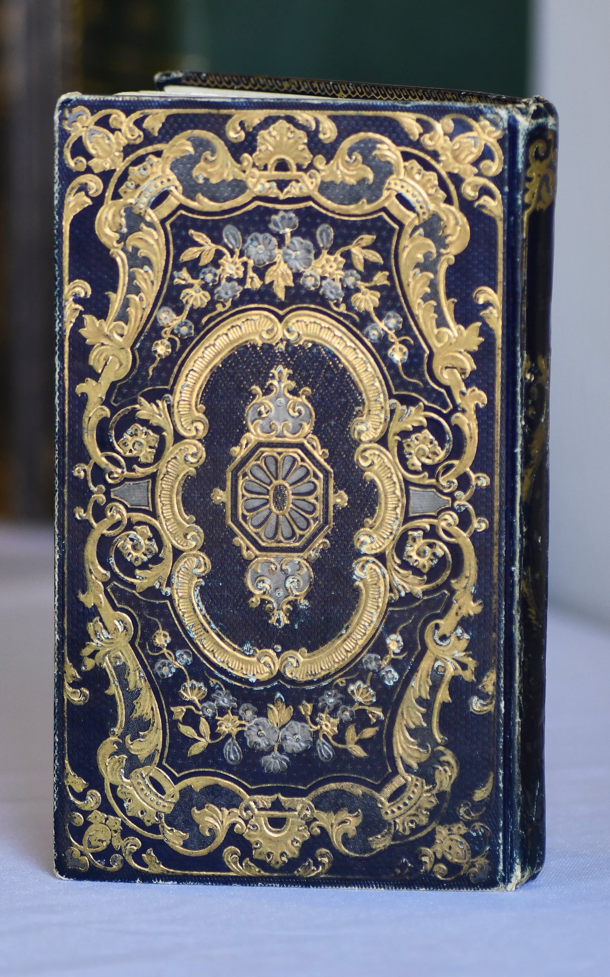 The Psyche of Young People, French Cartonnage Book