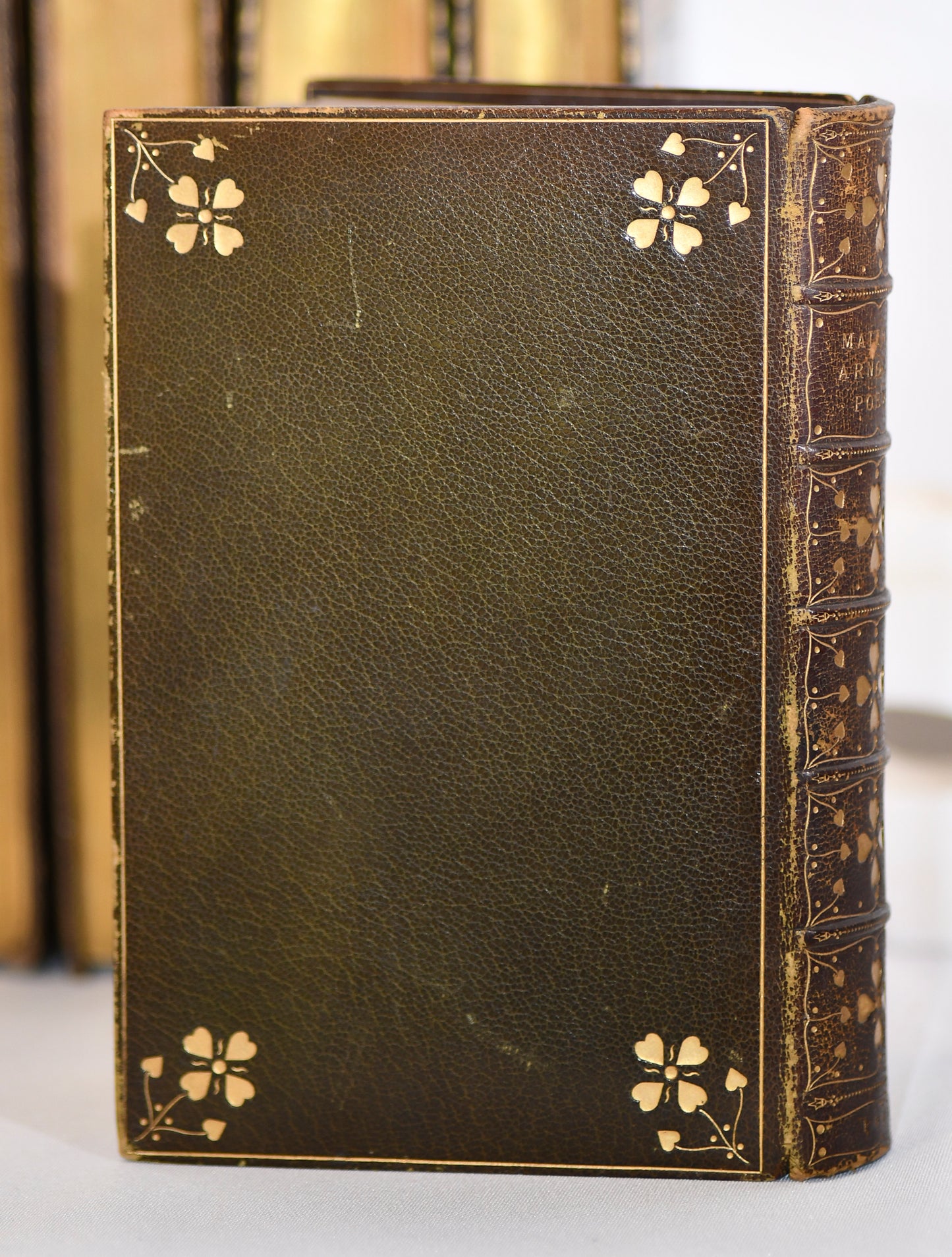 Poetical Works of Matthew Arnold, Decorative Leather, 1896