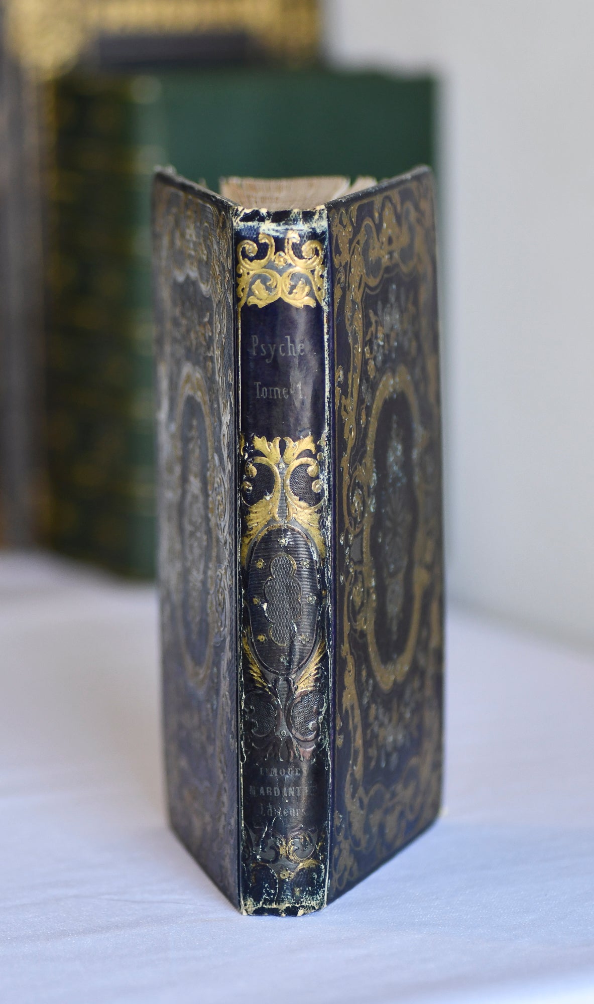 The Psyche of Young People, French Cartonnage Book