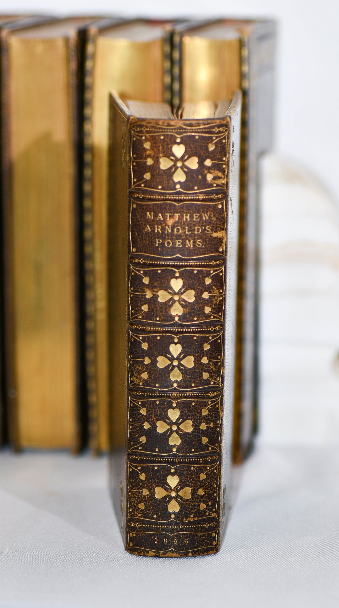 Poetical Works of Matthew Arnold, Decorative Leather, 1896