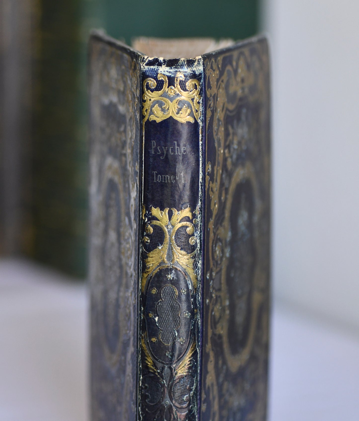 The Psyche of Young People, French Cartonnage Book