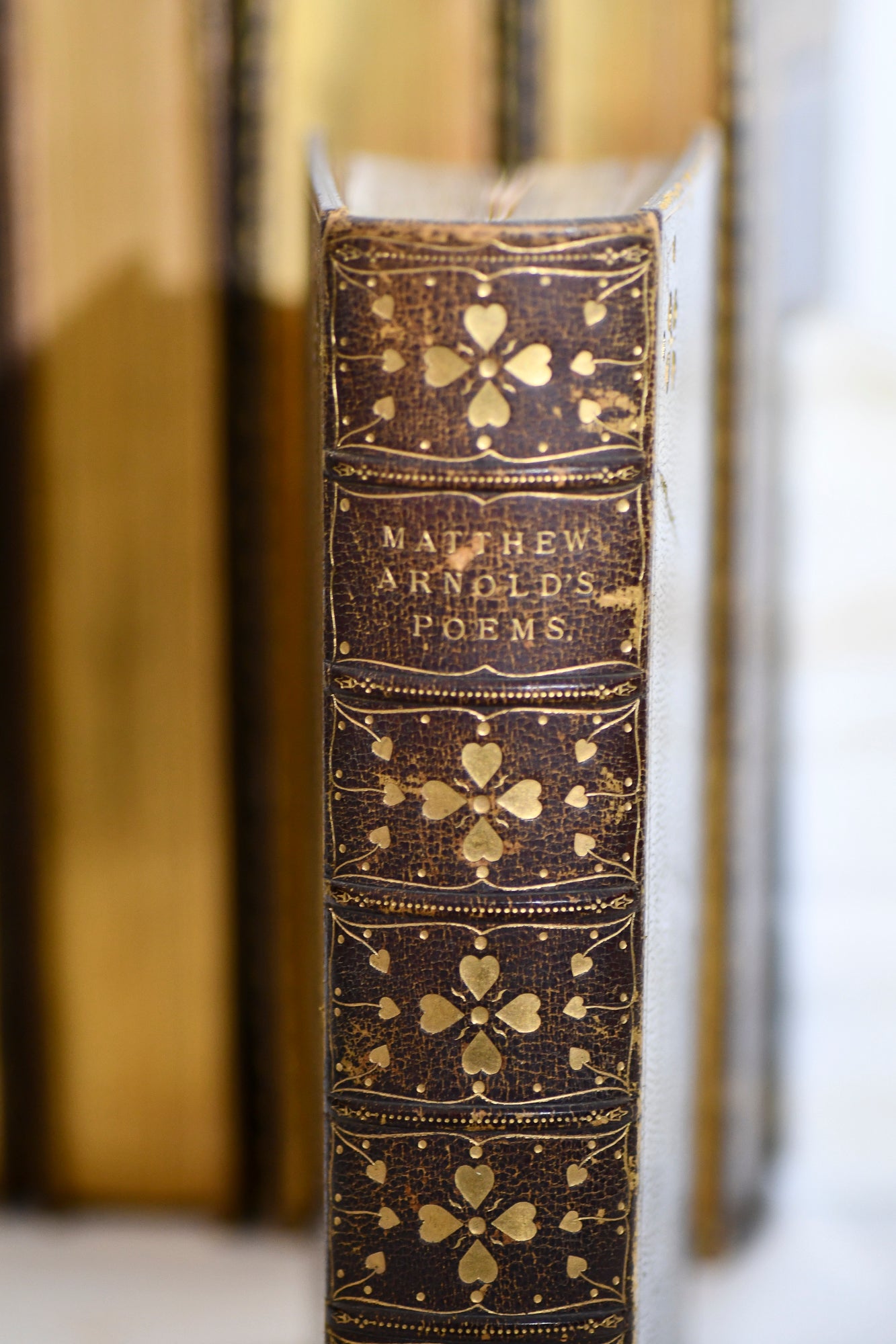 Poetical Works of Matthew Arnold, Decorative Leather, 1896