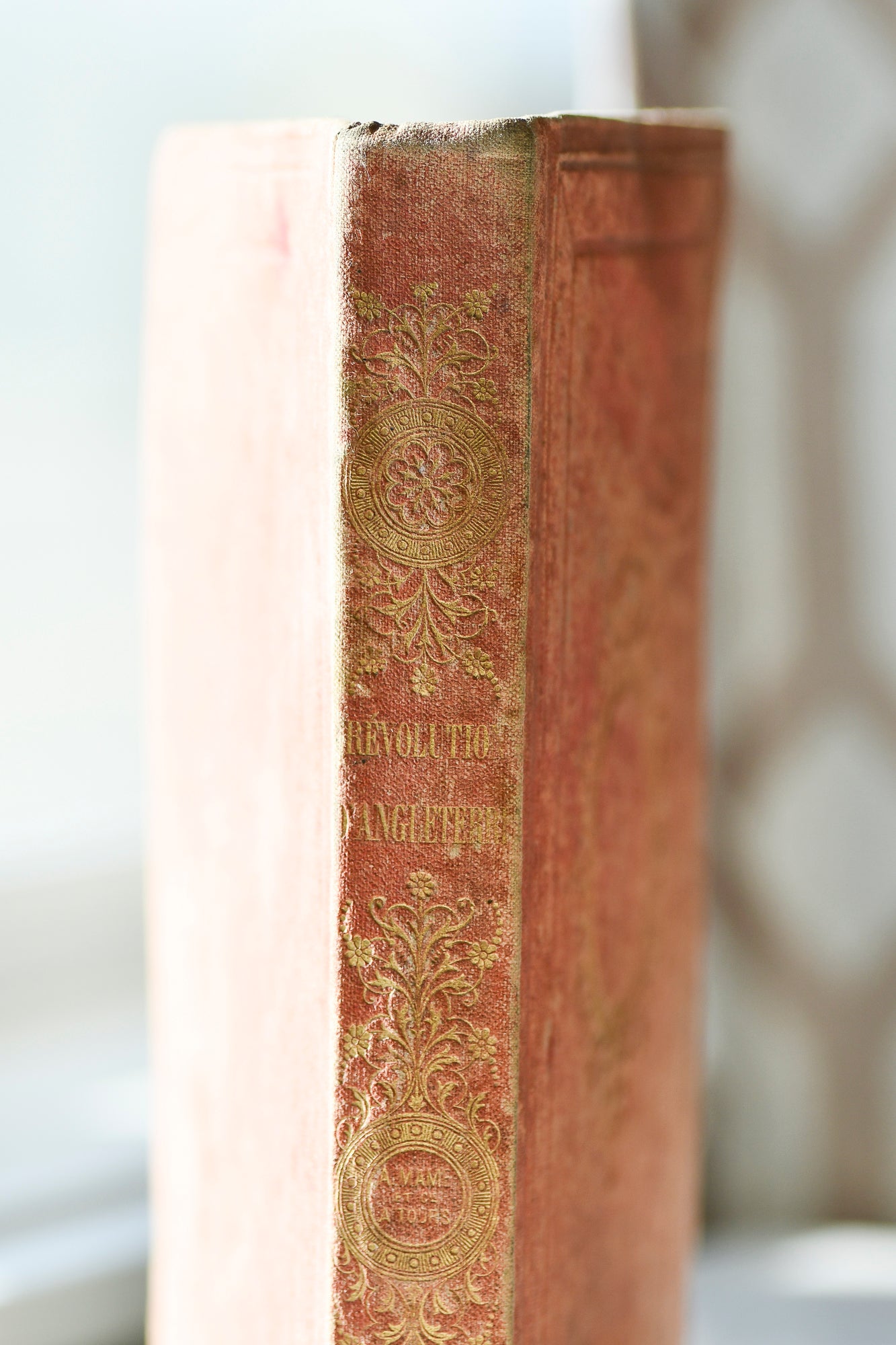 Revolution of 1688 in England, French Cartonnage Book