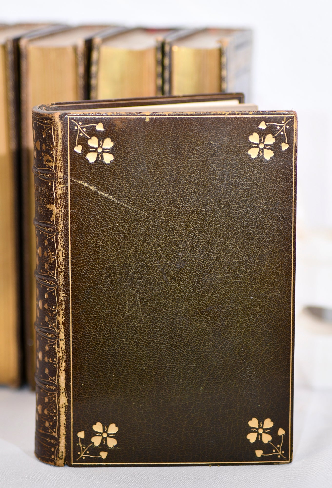 Poetical Works of Matthew Arnold, Decorative Leather, 1896