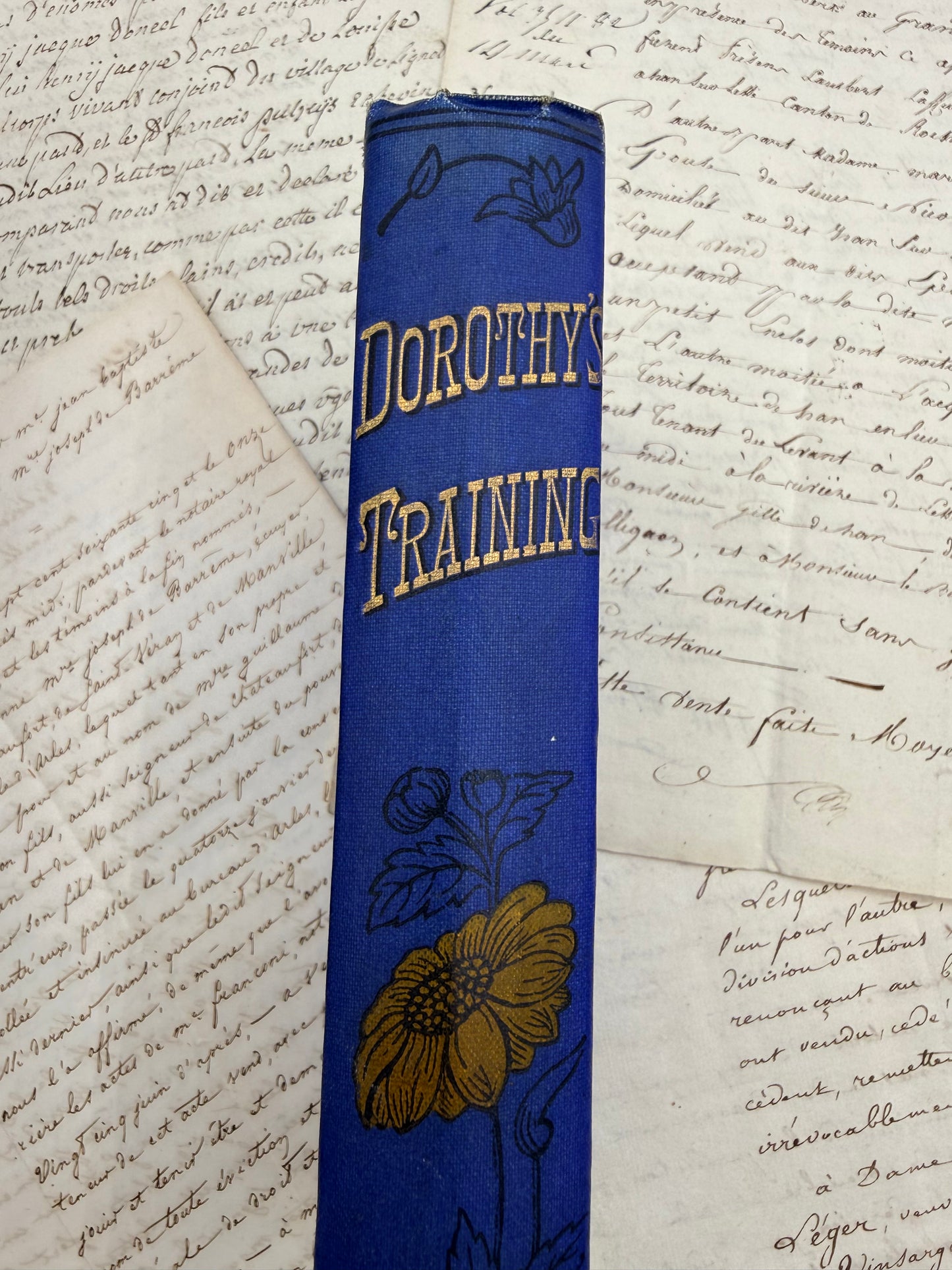 Dorothy’s Training, or Wild Flower or Weed, 1900