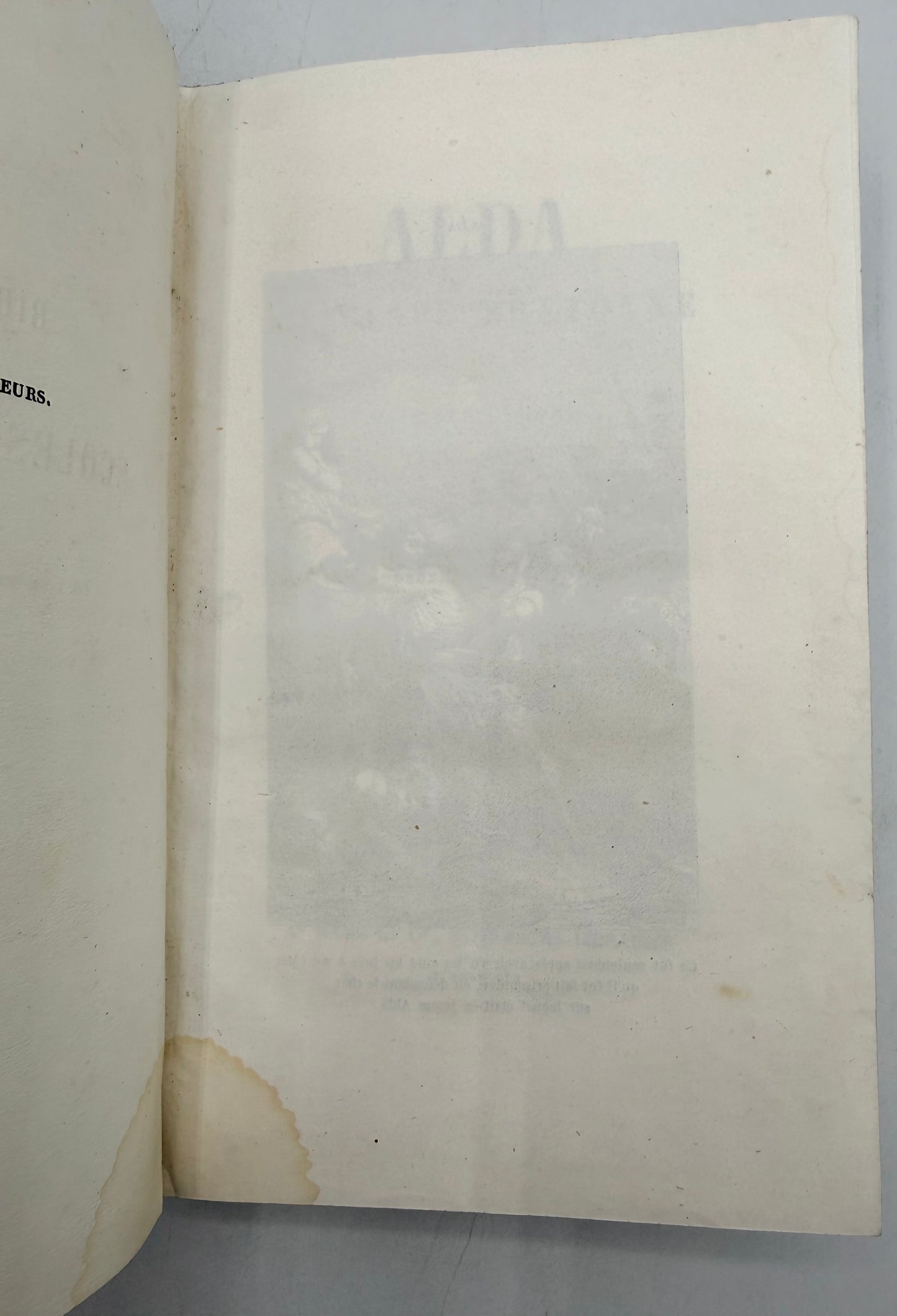 Alda, French Cartonnage Book