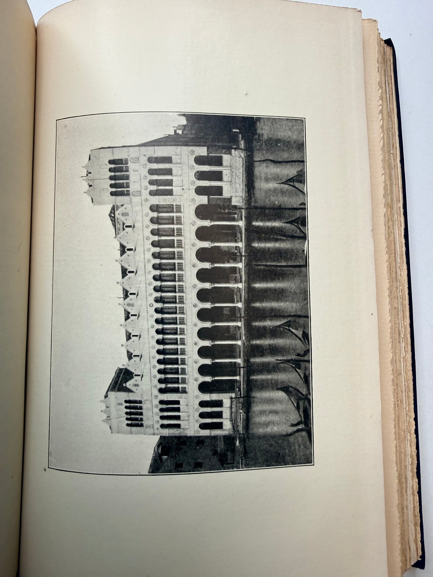 Venice, The Queen of the Adriatric