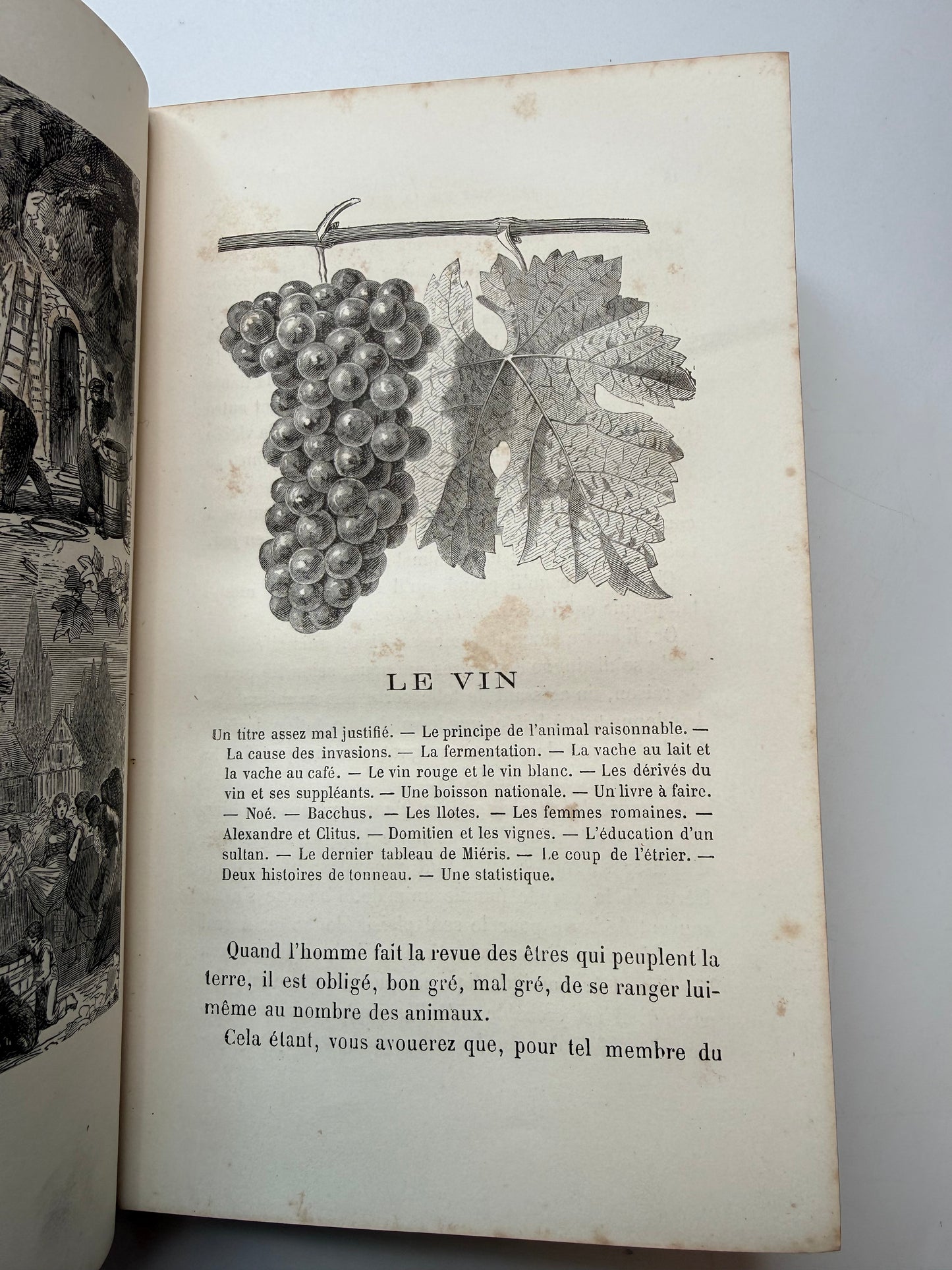 Discussions on Nature & Industry, French