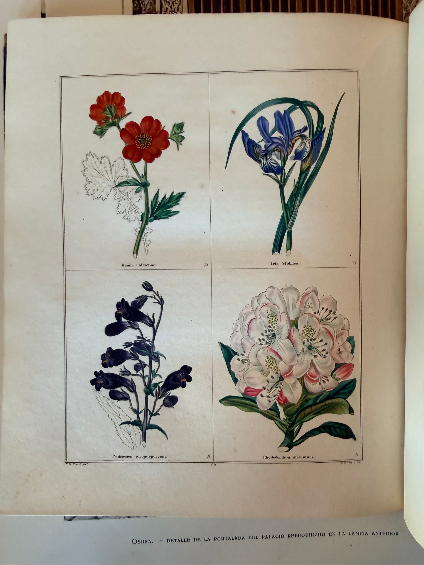 Maund’s Botanic Garden, Vol 3, 1830