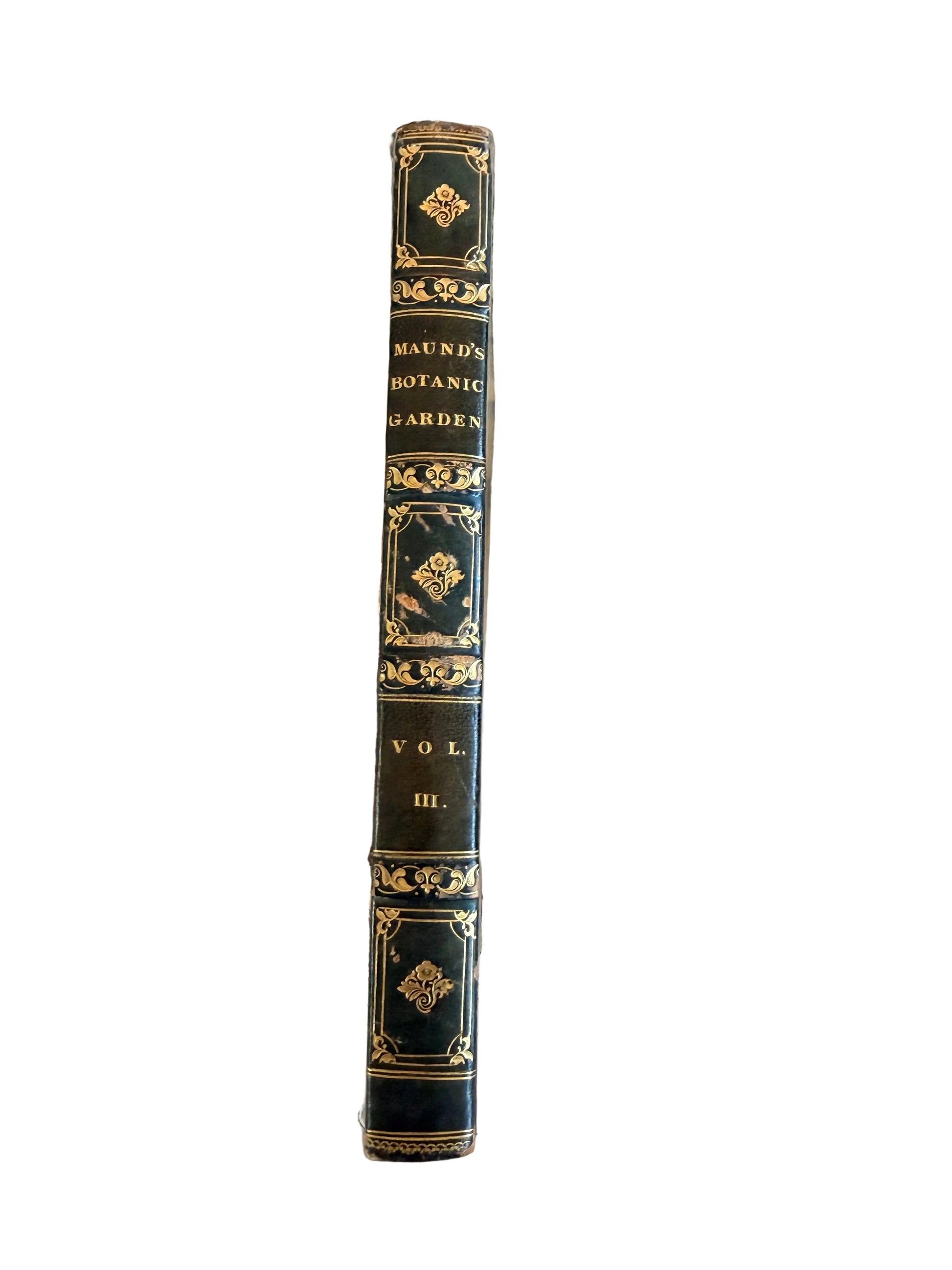 Decorative book spine on top of vintage architectural prints
