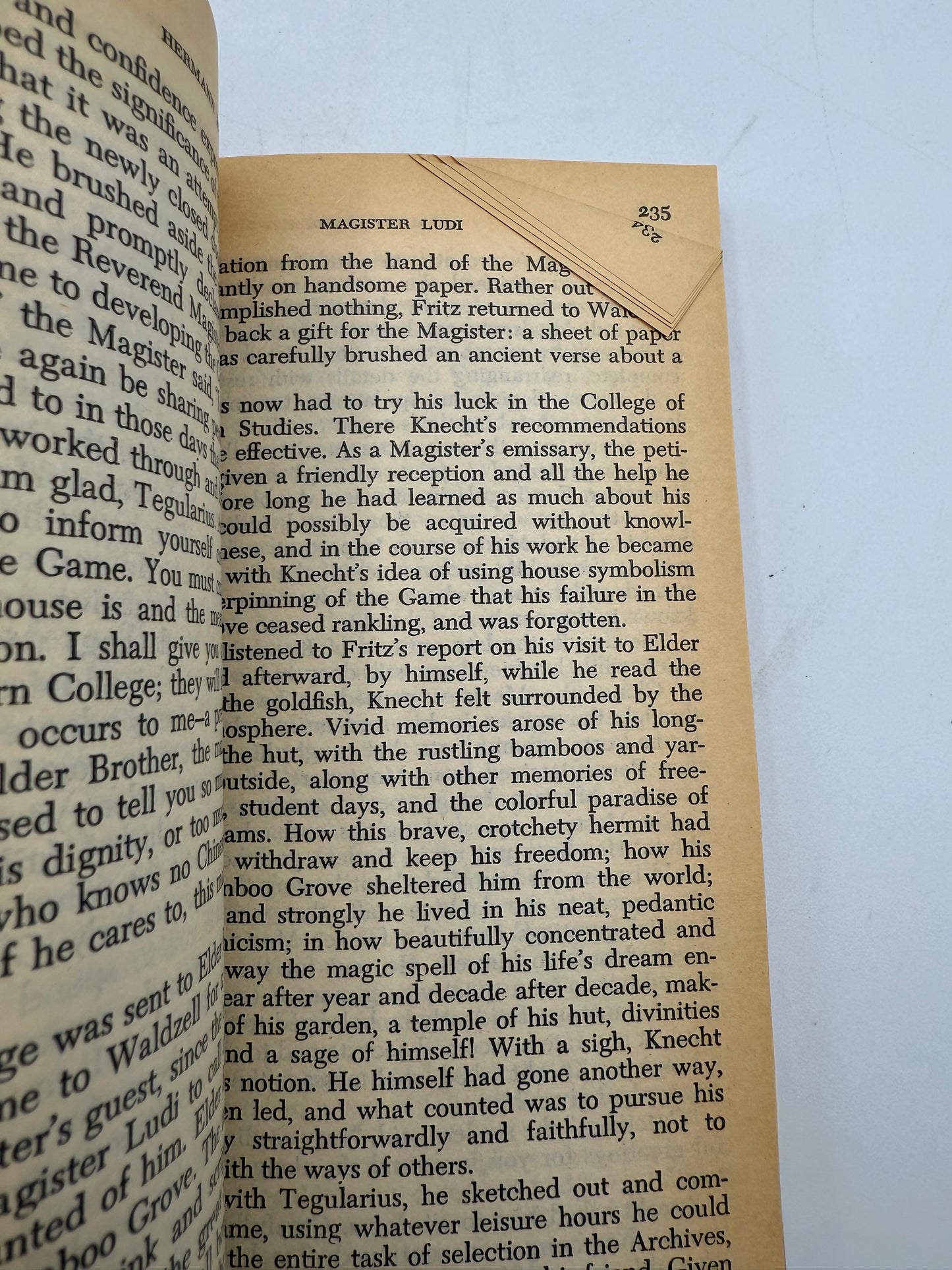 Hereman Hesse's Magister Ludi, 1972