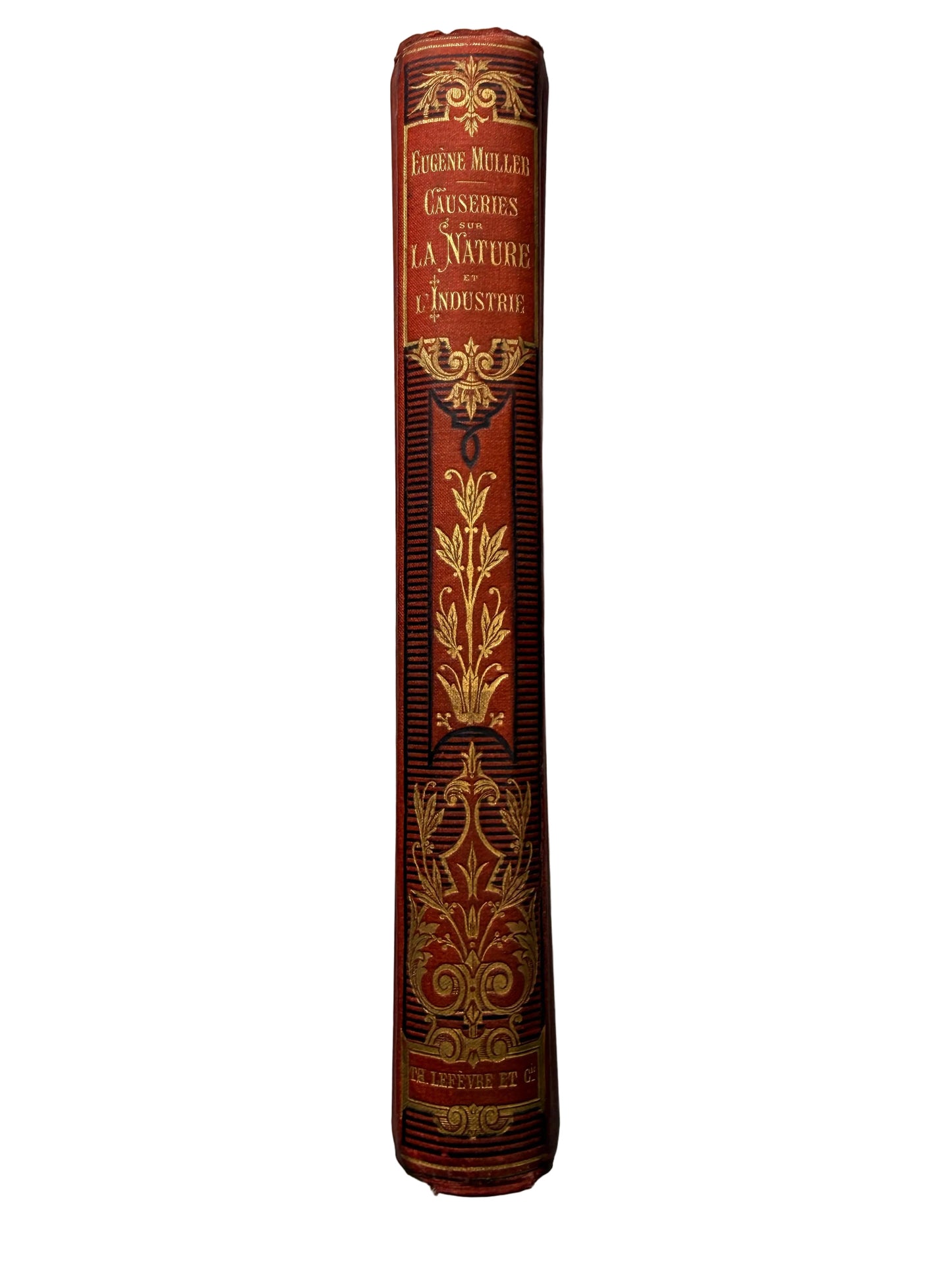 Decorative book with ornate cover on a white background