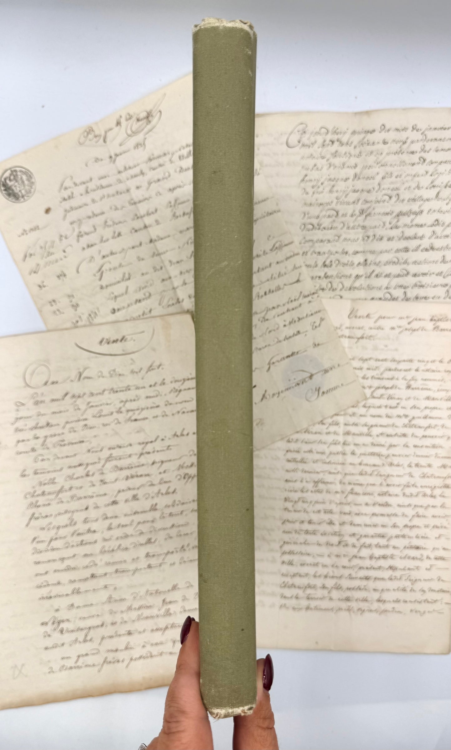 Egypt Illustrated by Samuel Manning, 1891