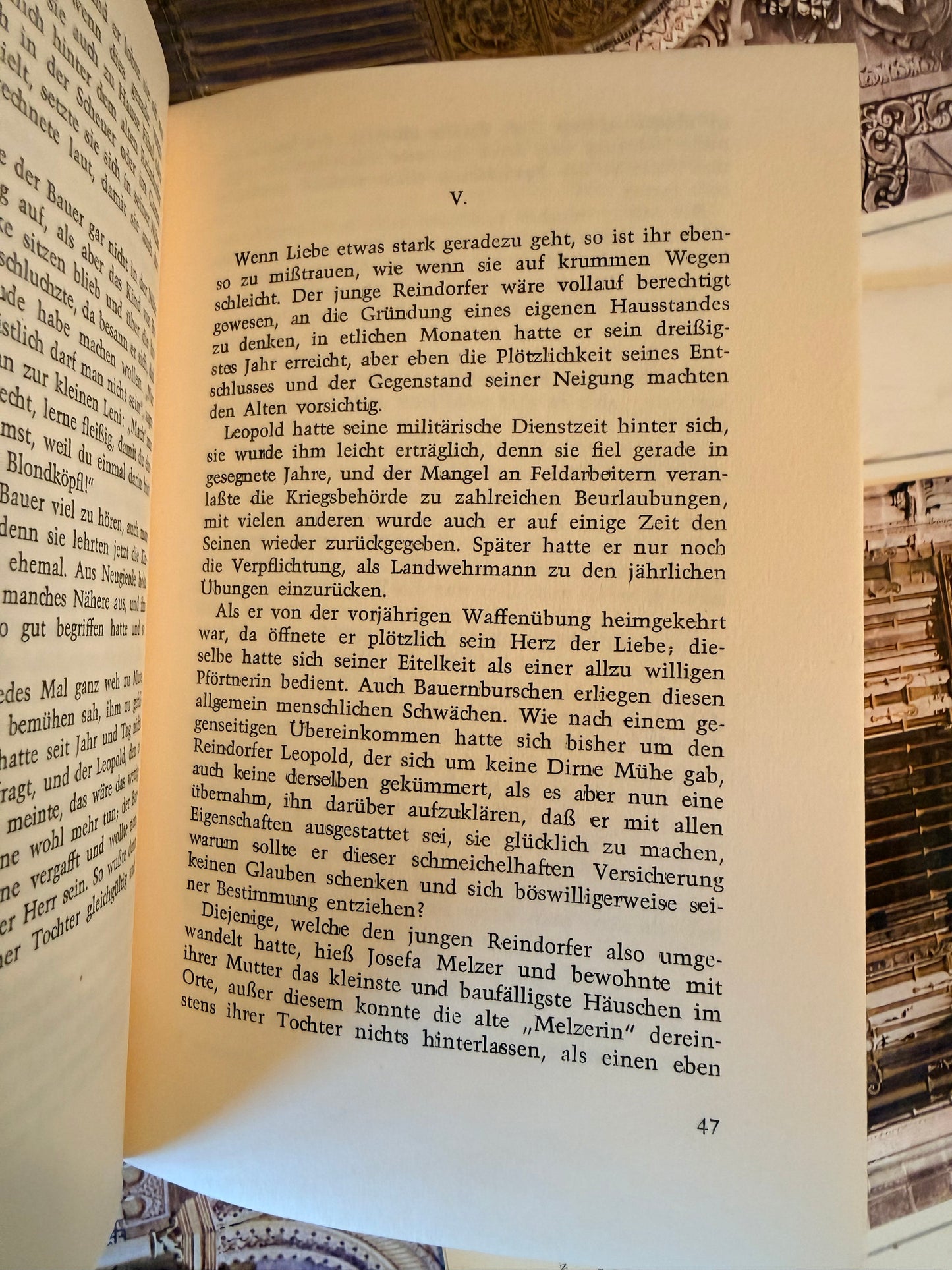 Vintage German Book, Der Schandfleck