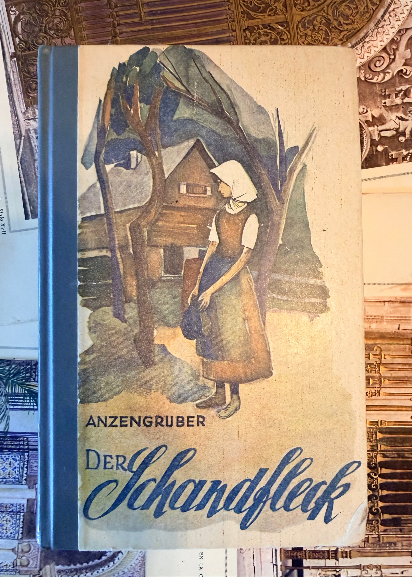 Vintage German Book, Der Schandfleck