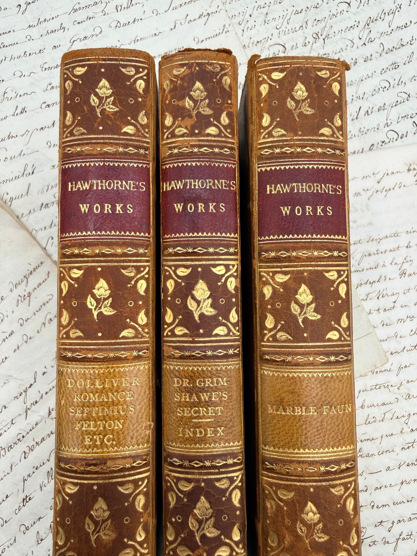 Nathaniel Hawthorne’s Works, 1902
