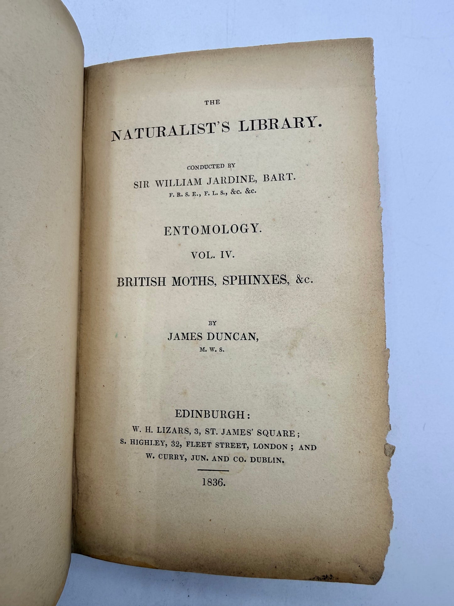 British Moths, Sphinxes, The Naturalist’s Library, 1836