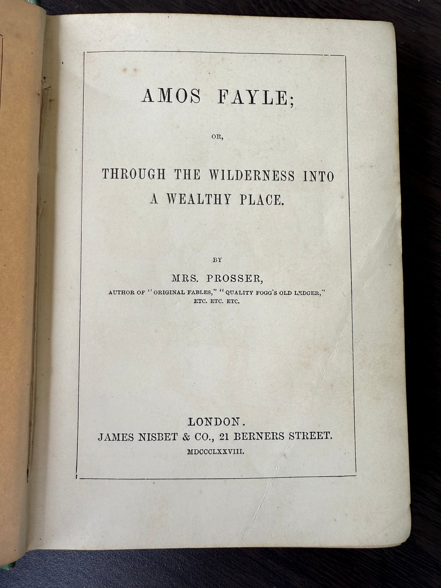 Amos Fayle by Mrs Prosser, 1878