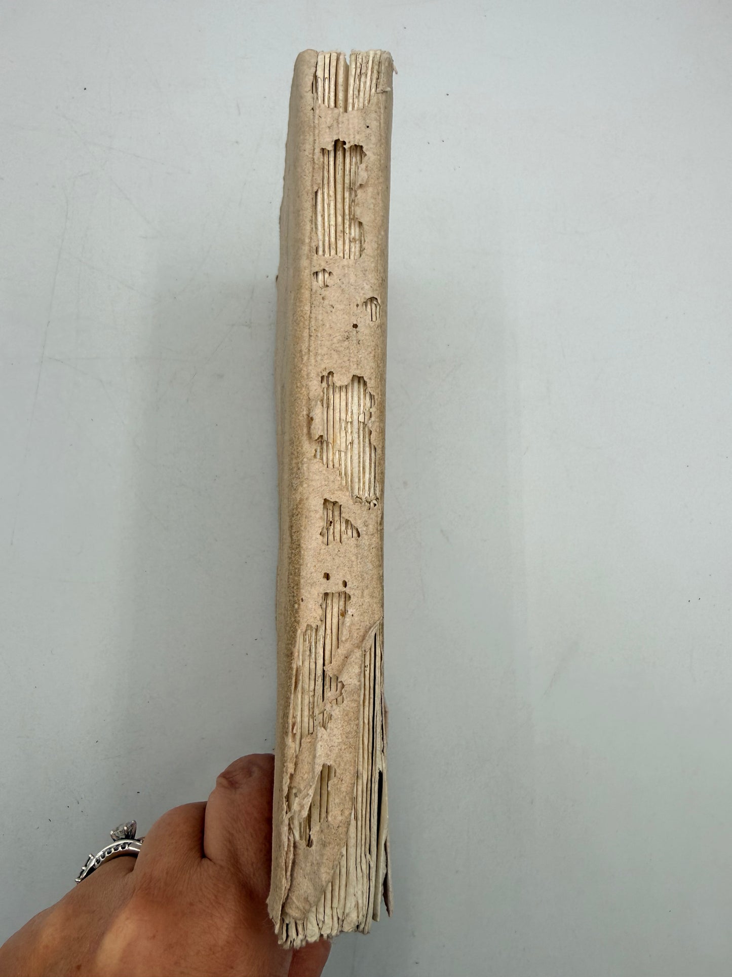 Topographical and Military Memorial, French, No 2