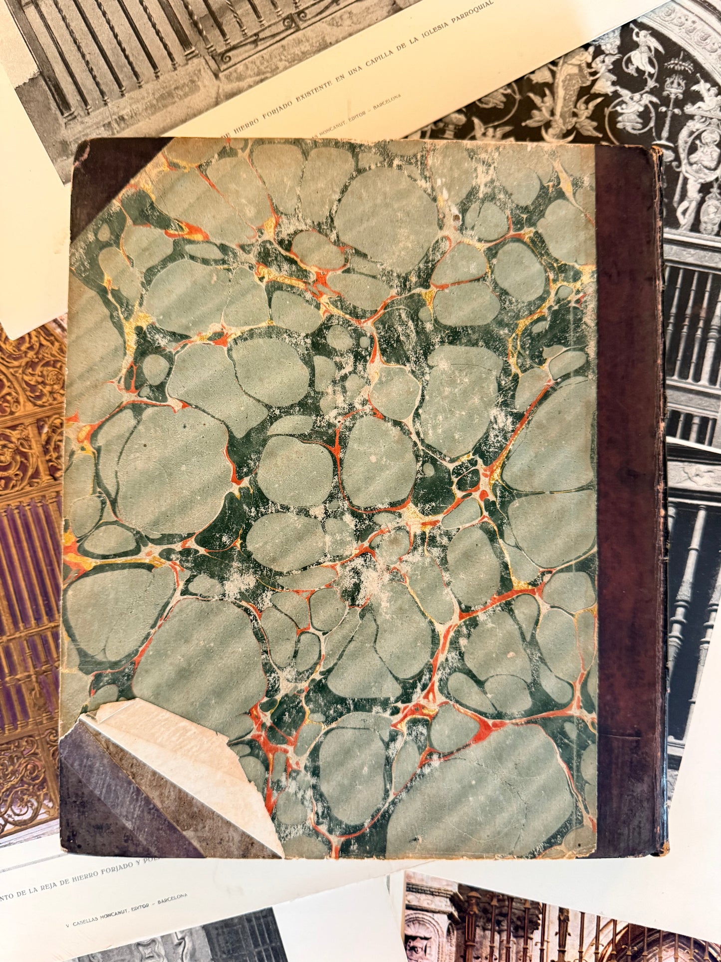 Maund’s Botanic Garden, Vol 3, 1830