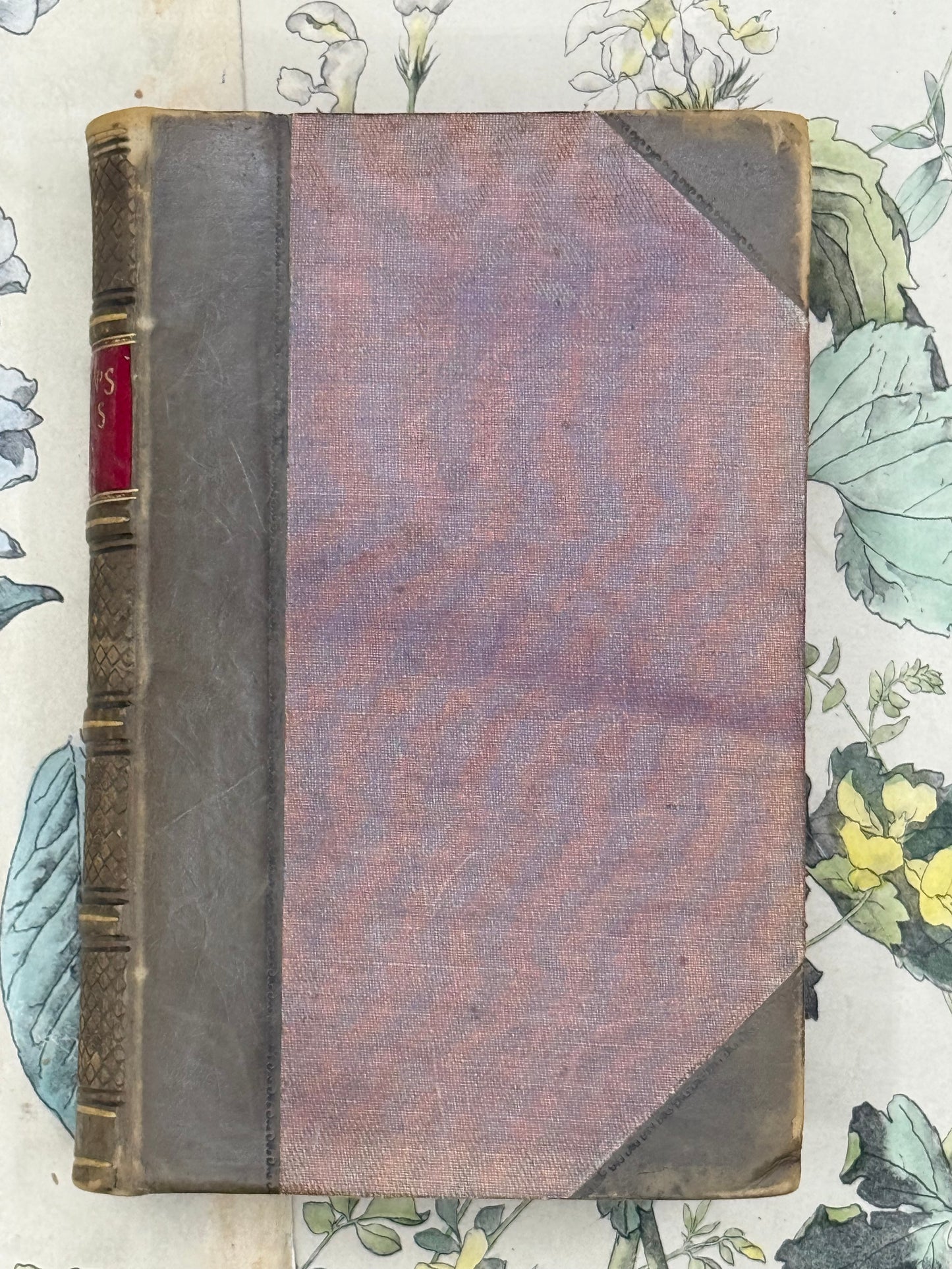 Homer’s Iliad, First Three Books, 1852