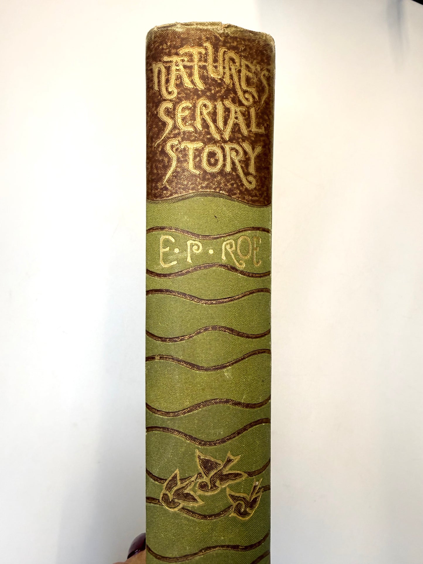 Nature’s Serial Story, 1885