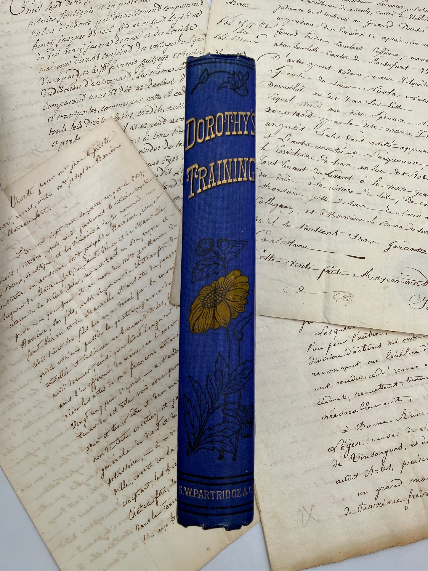 Dorothy’s Training, or Wild Flower or Weed, 1900