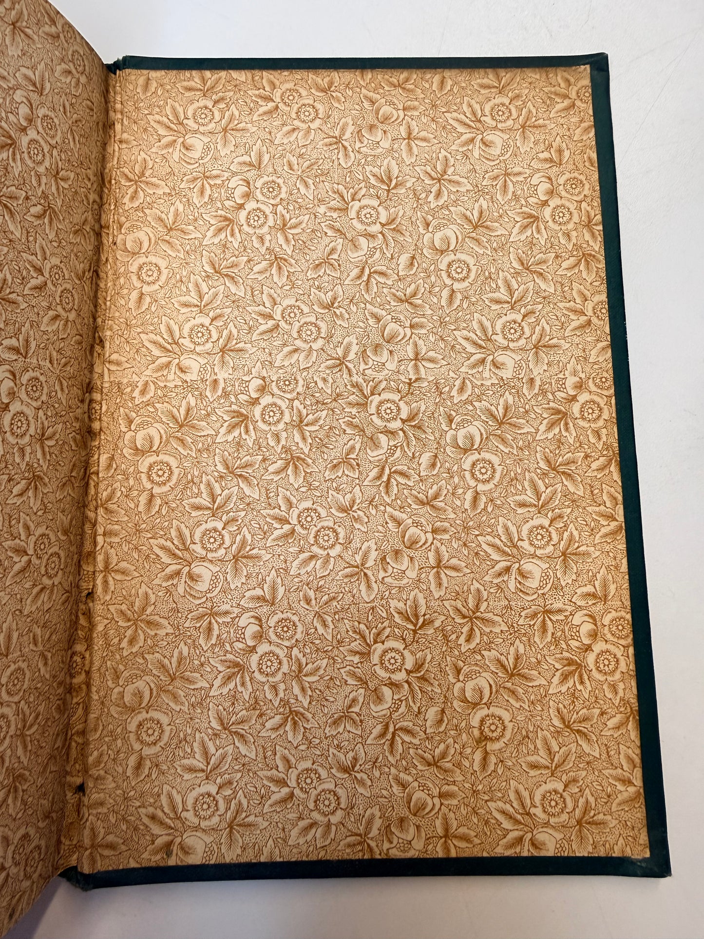 Caxton Edition, Half Hours with Great Novelists