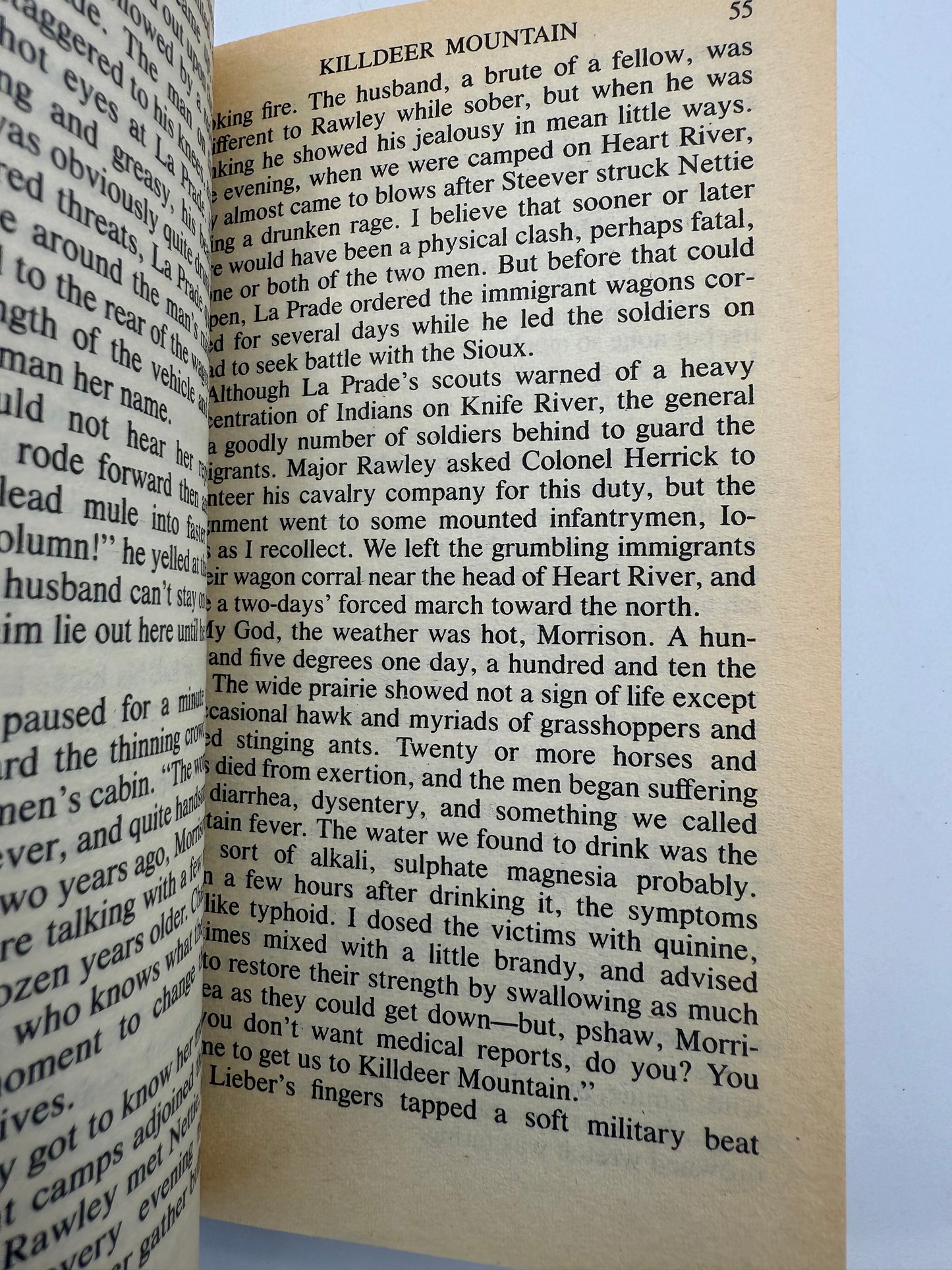 Killdeer Mountain by Dee Brown, 1984