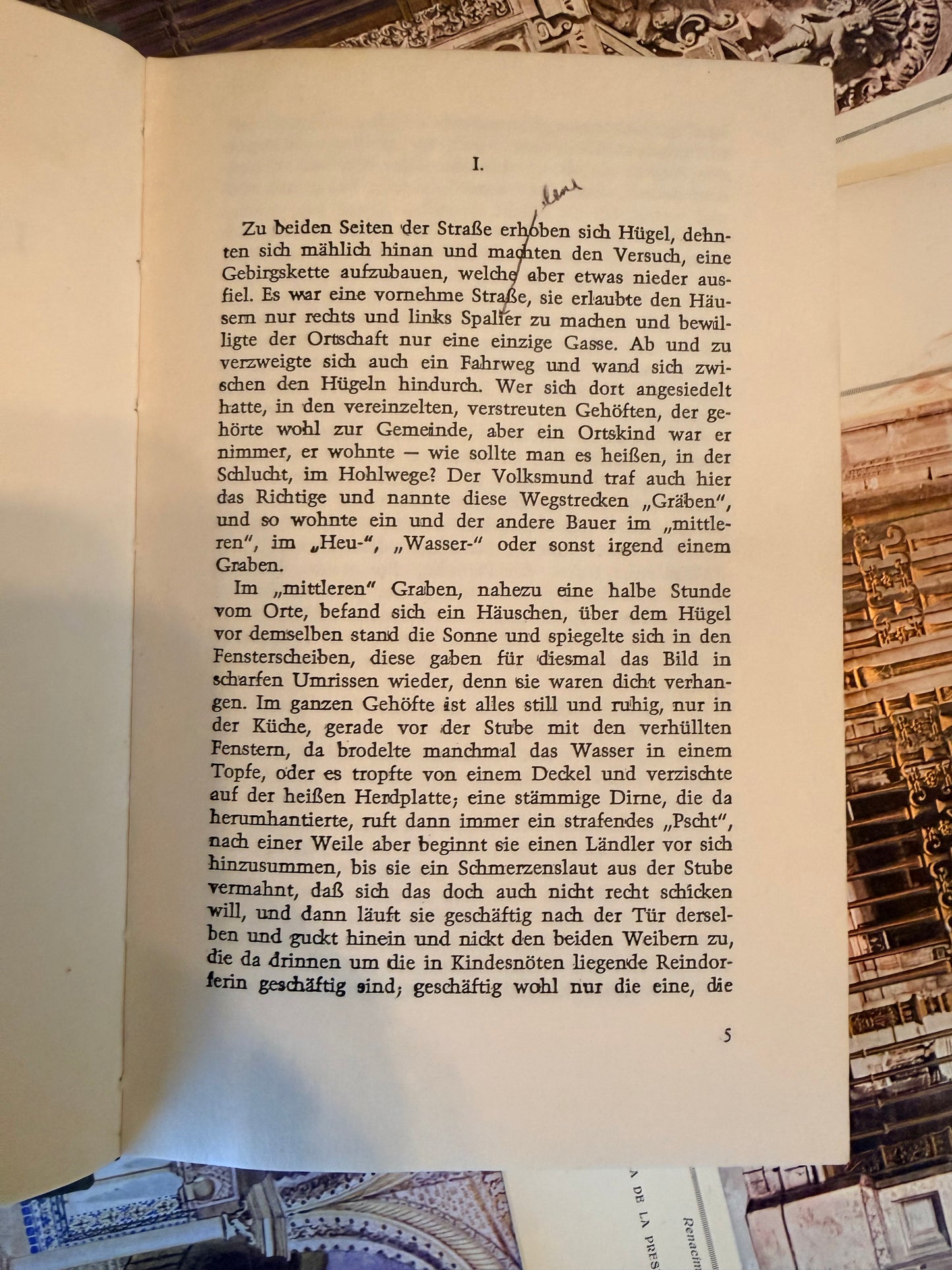 Vintage German Book, Der Schandfleck