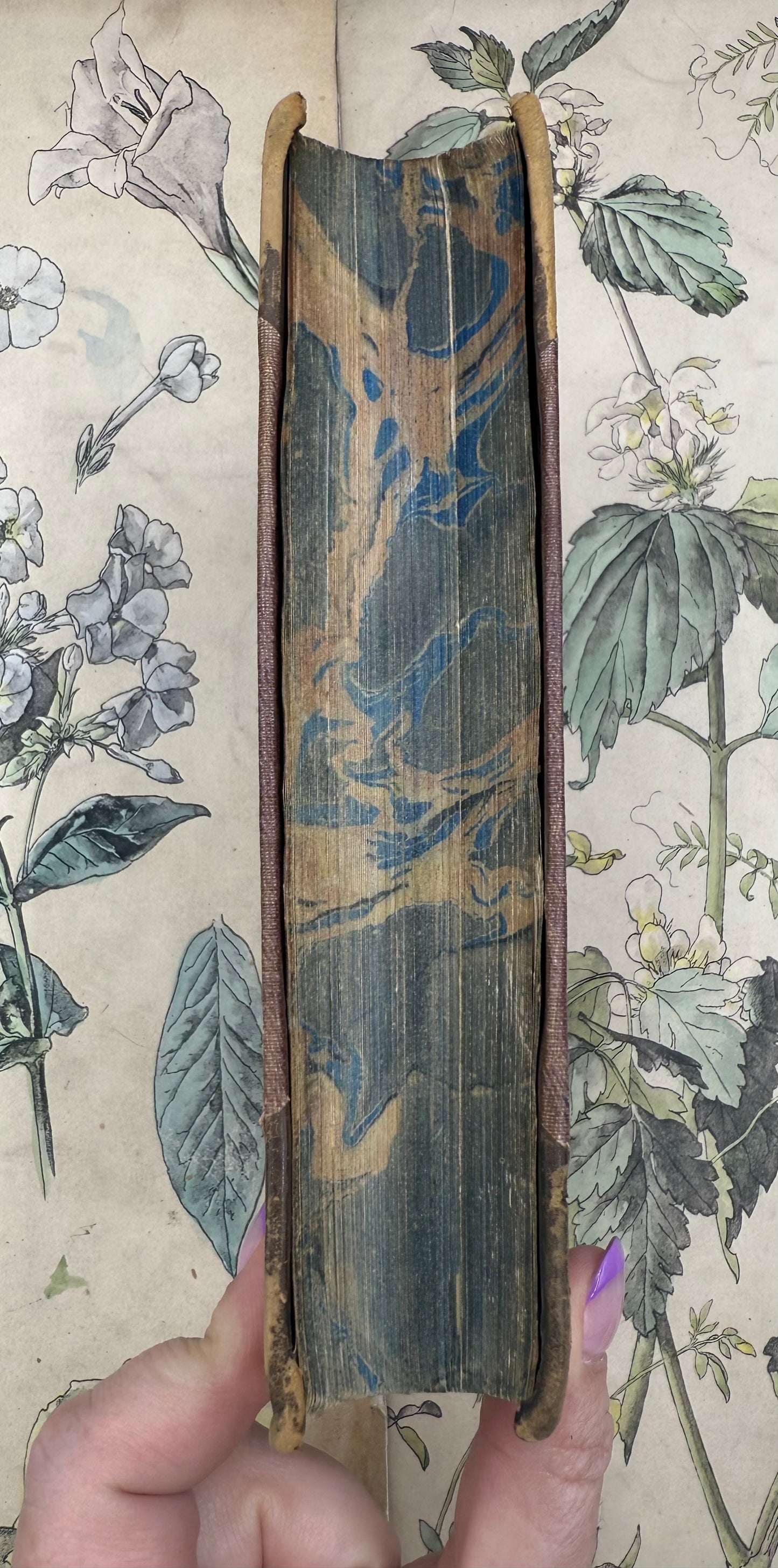 Homer’s Iliad, First Three Books, 1852