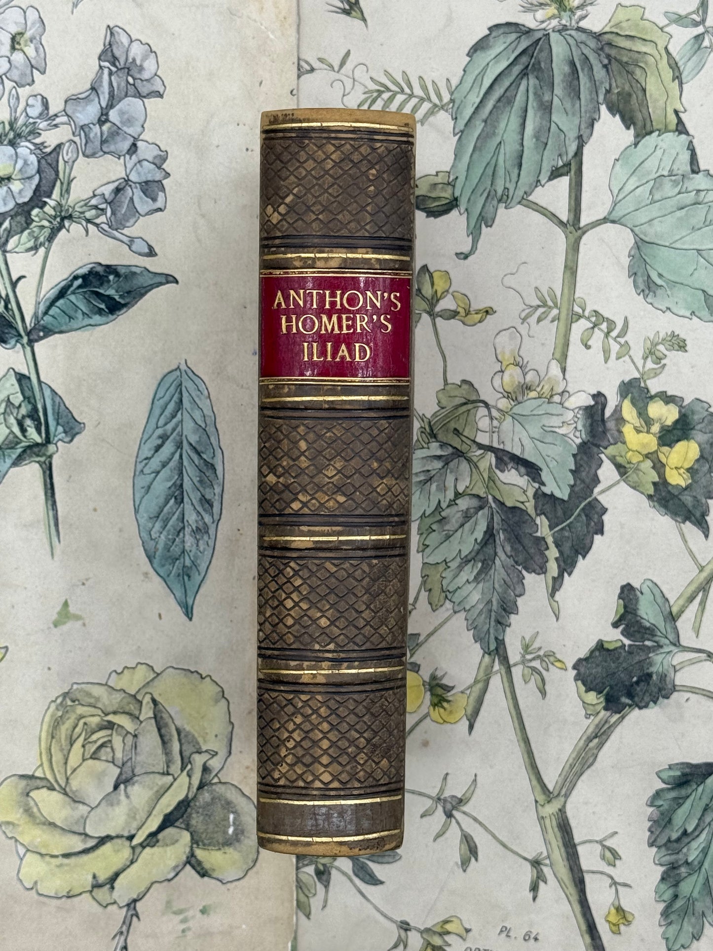 Homer’s Iliad, First Three Books, 1852