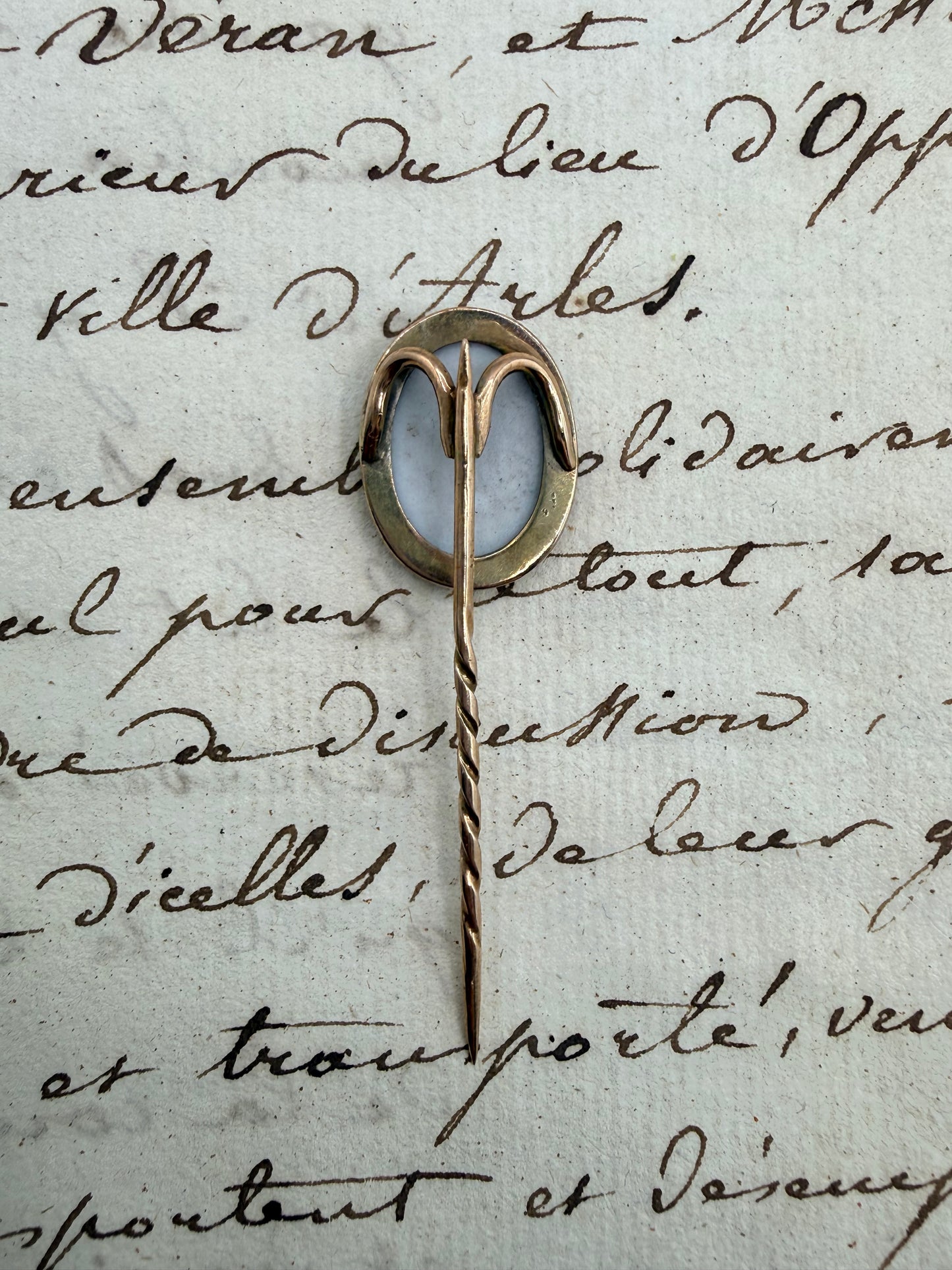 Victorian Hand Painted Pin, 2"