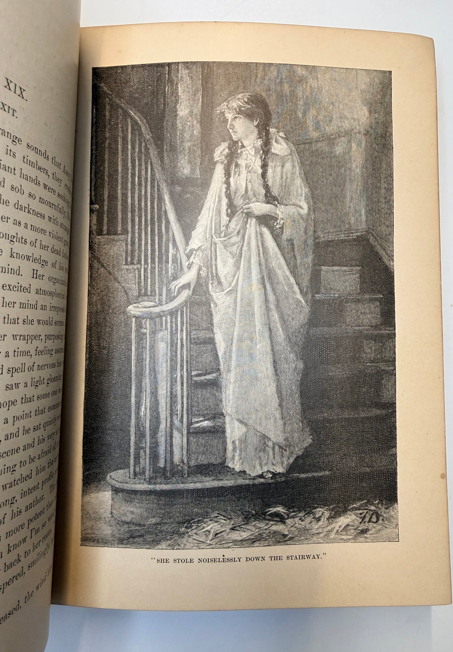 Nature’s Serial Story, 1885