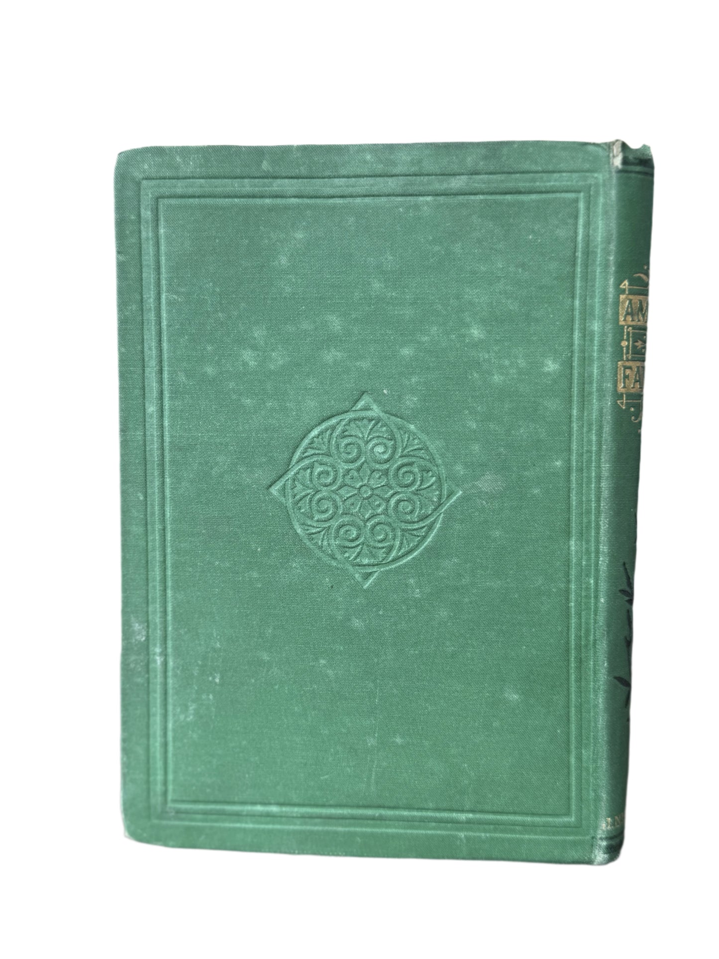 Amos Fayle by Mrs Prosser, 1878